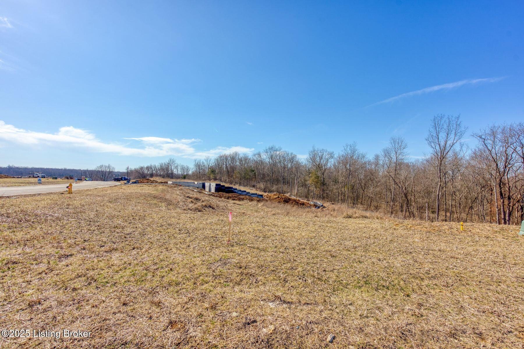 243 Catalpa Leaf Way Property Photo 7