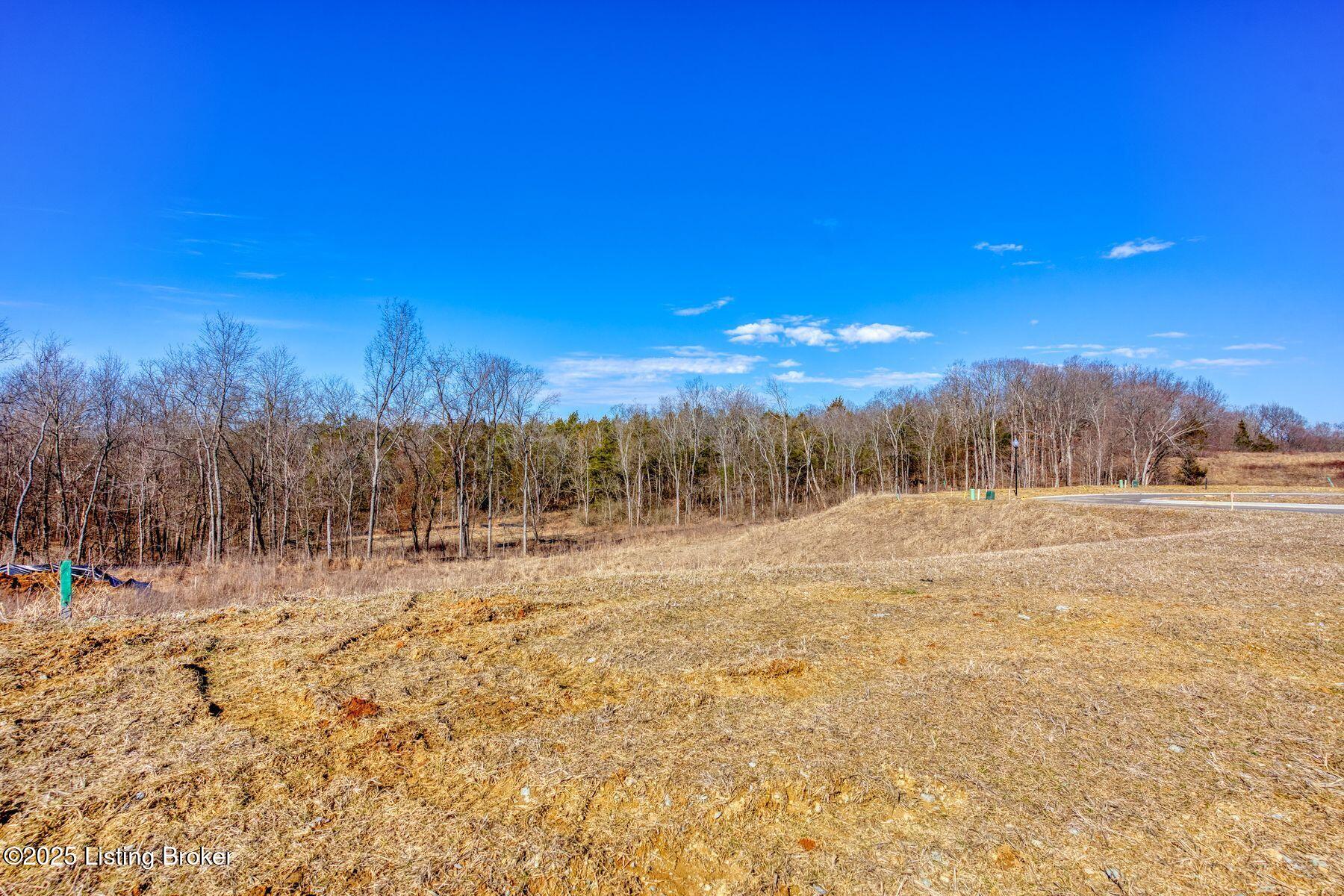 243 Catalpa Leaf Way Property Photo 8