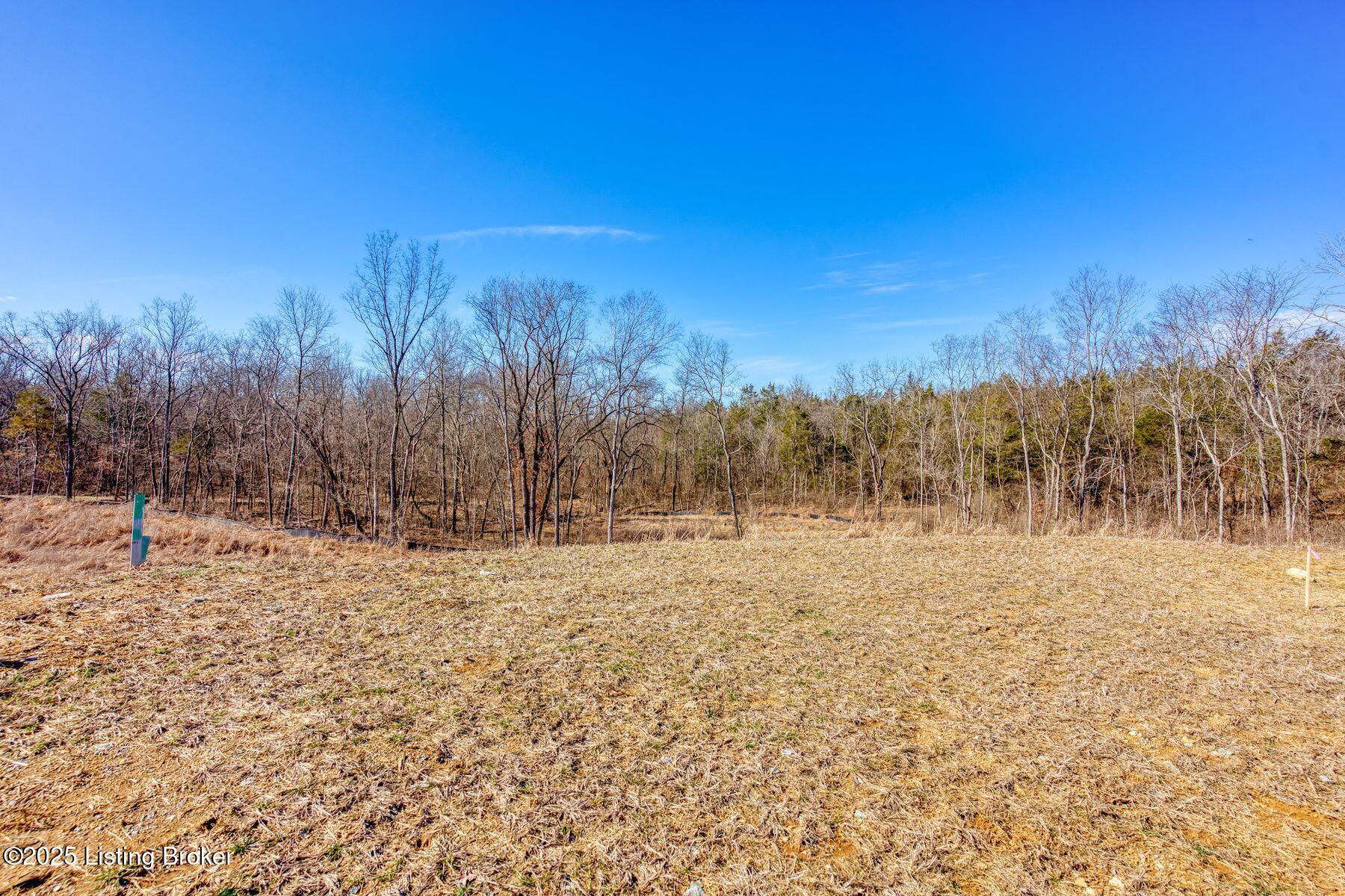 244 Catalpa Leaf Way Property Photo 6
