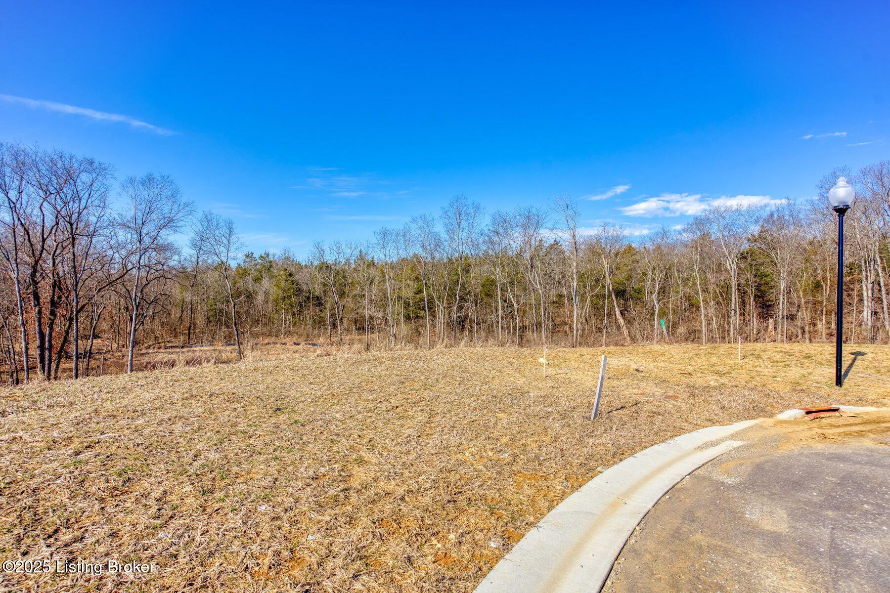 244 Catalpa Leaf Way Property Photo 7
