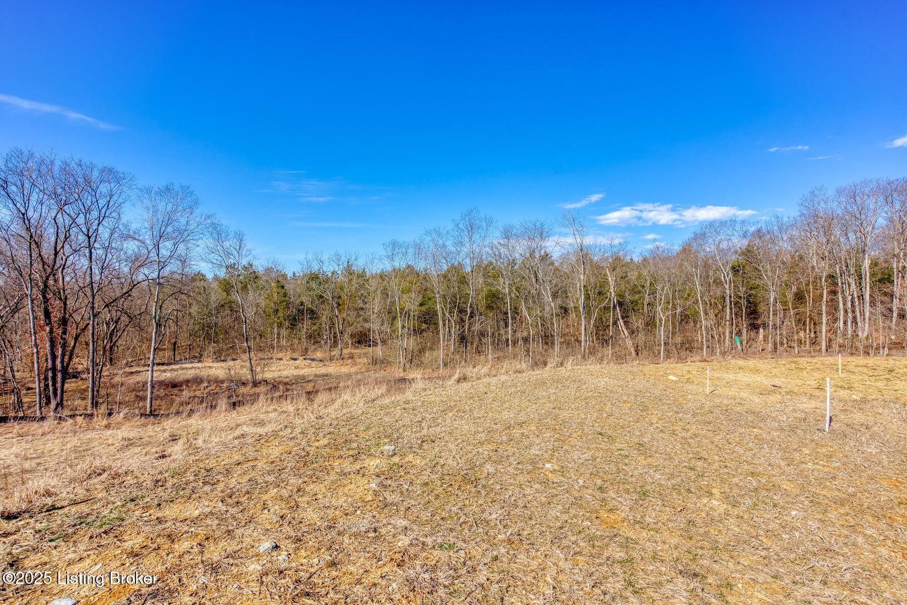 244 Catalpa Leaf Way Property Photo 8