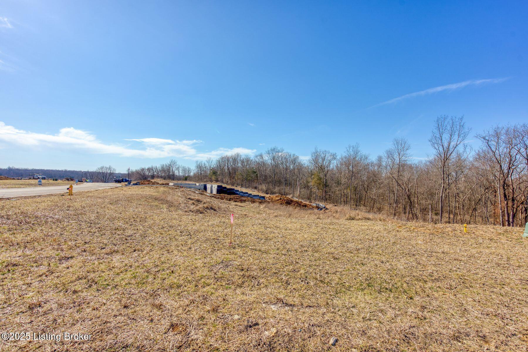 244 Catalpa Leaf Way Property Photo 9