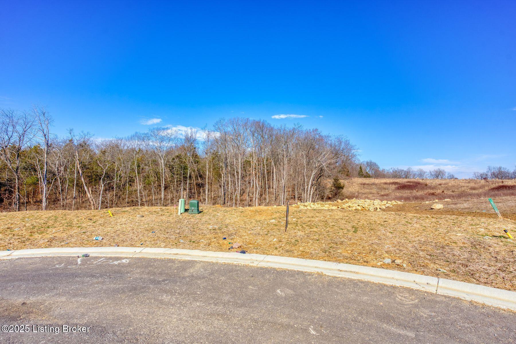 245 Catalpa Leaf Way Property Photo 6