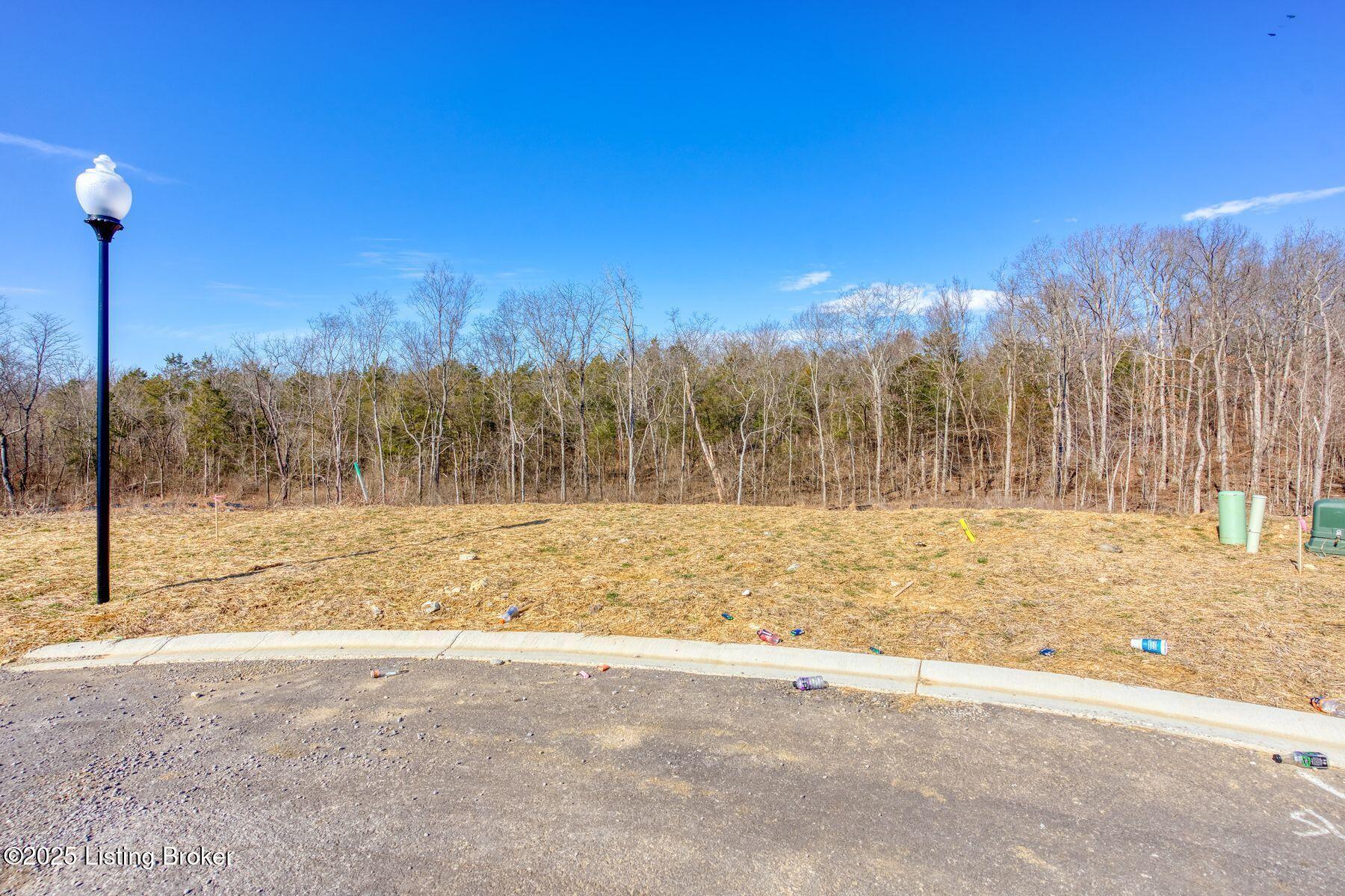 245 Catalpa Leaf Way Property Photo 8