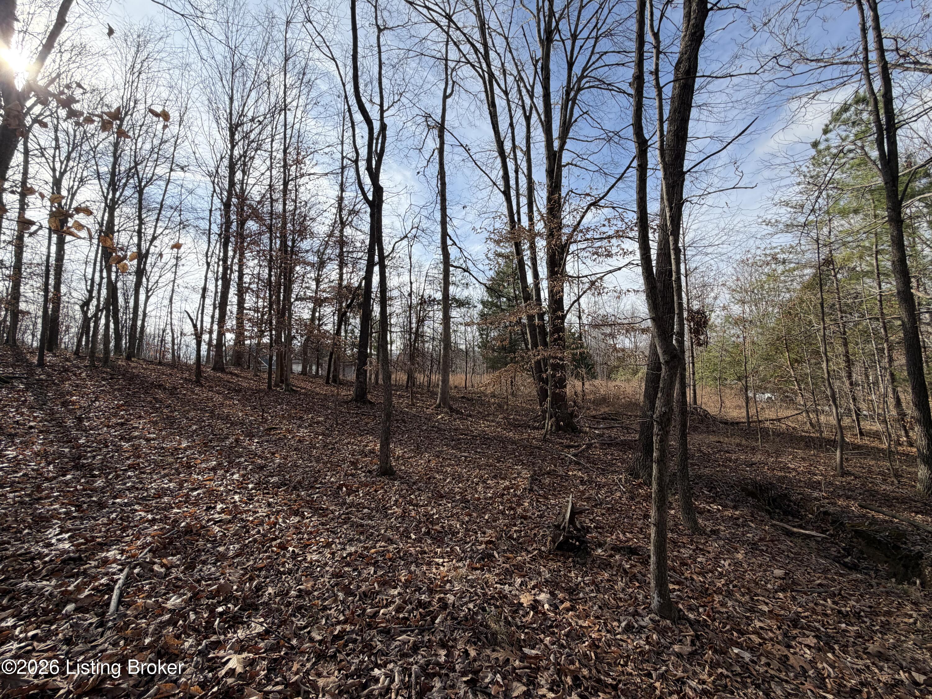 160 Moutardier Bay Dr Property Photo 17