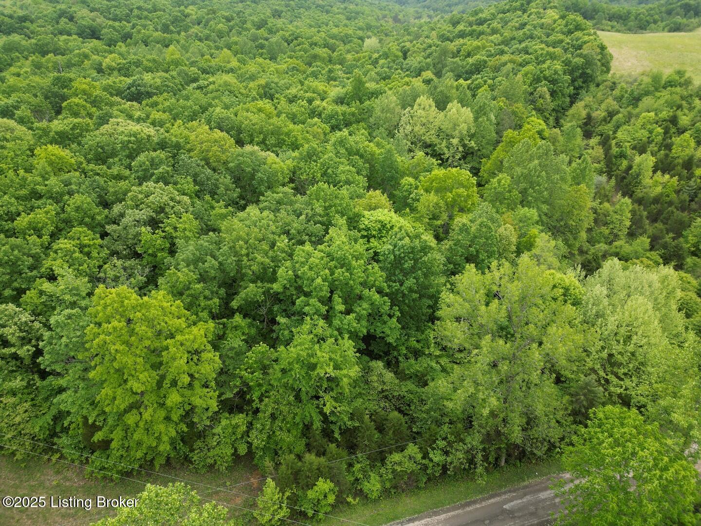 Lot 1 Duvall Rd Property Photo 2