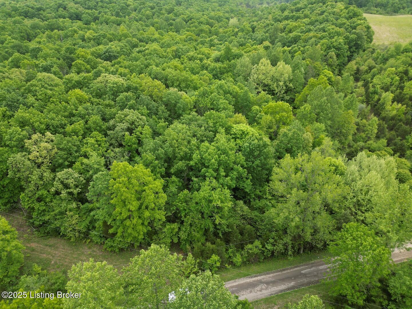 Lot 1 Duvall Rd Property Photo 3