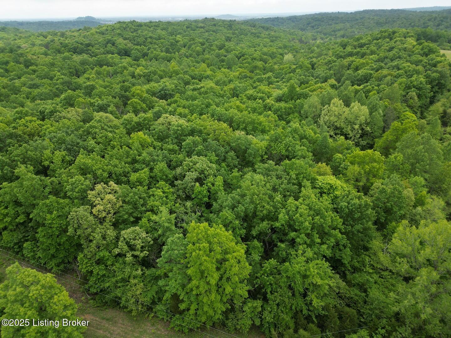 Lot 1 Duvall Rd Property Photo 4