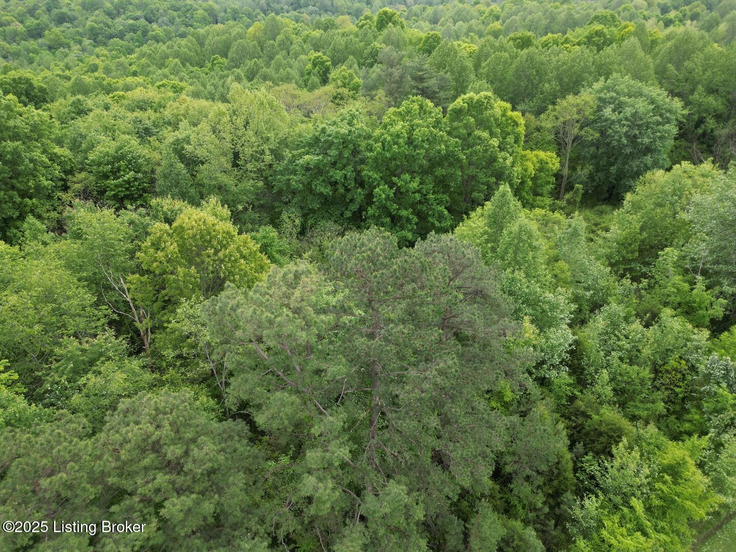 Lot 8 Duvall Rd Property Photo 2