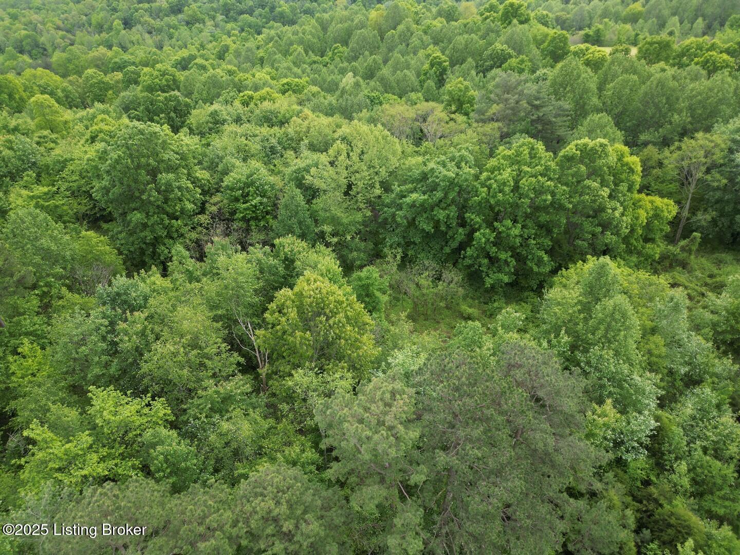 Lot 8 Duvall Rd Property Photo 3