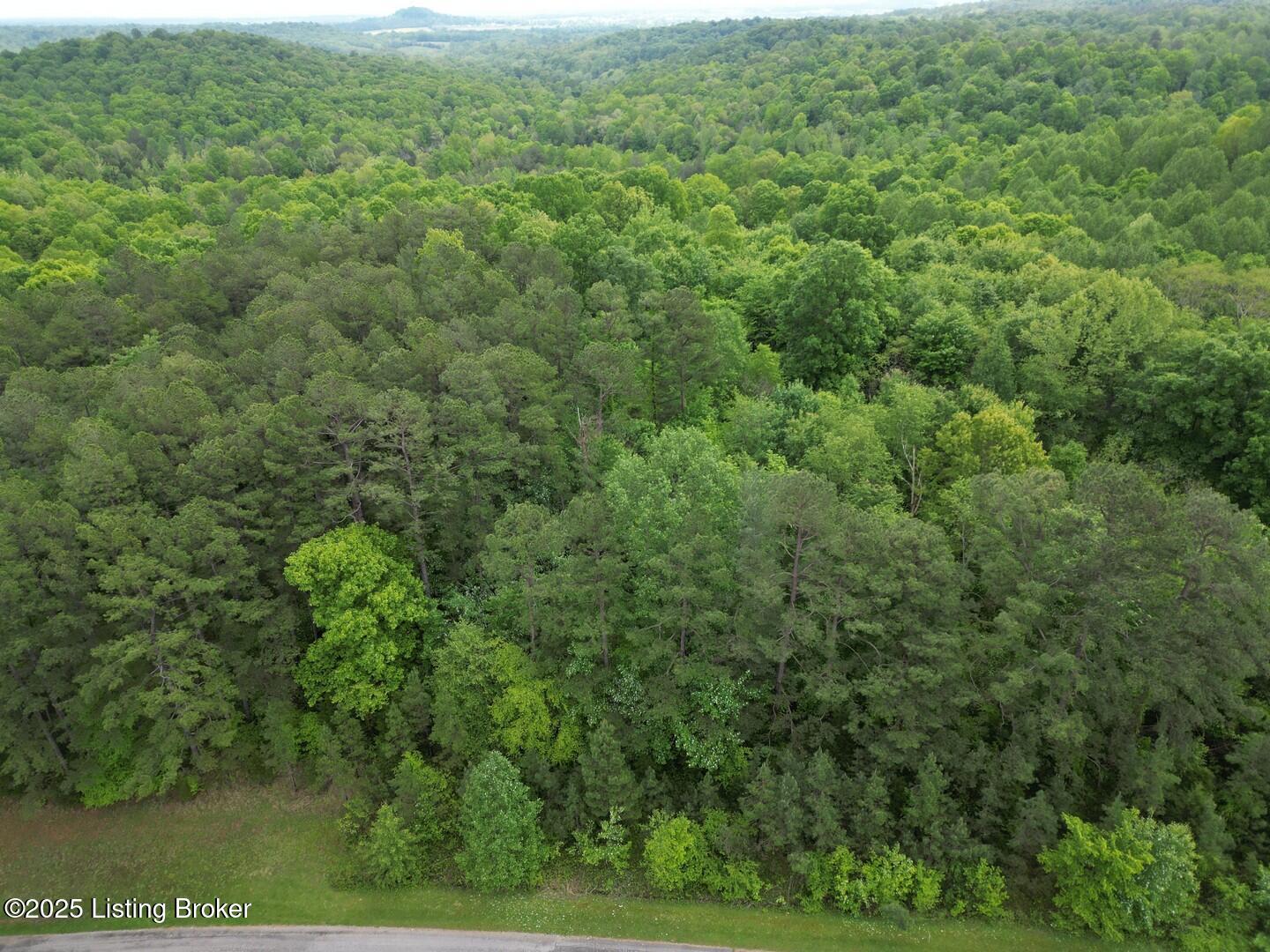 Lot 8 Duvall Rd Property Photo 5