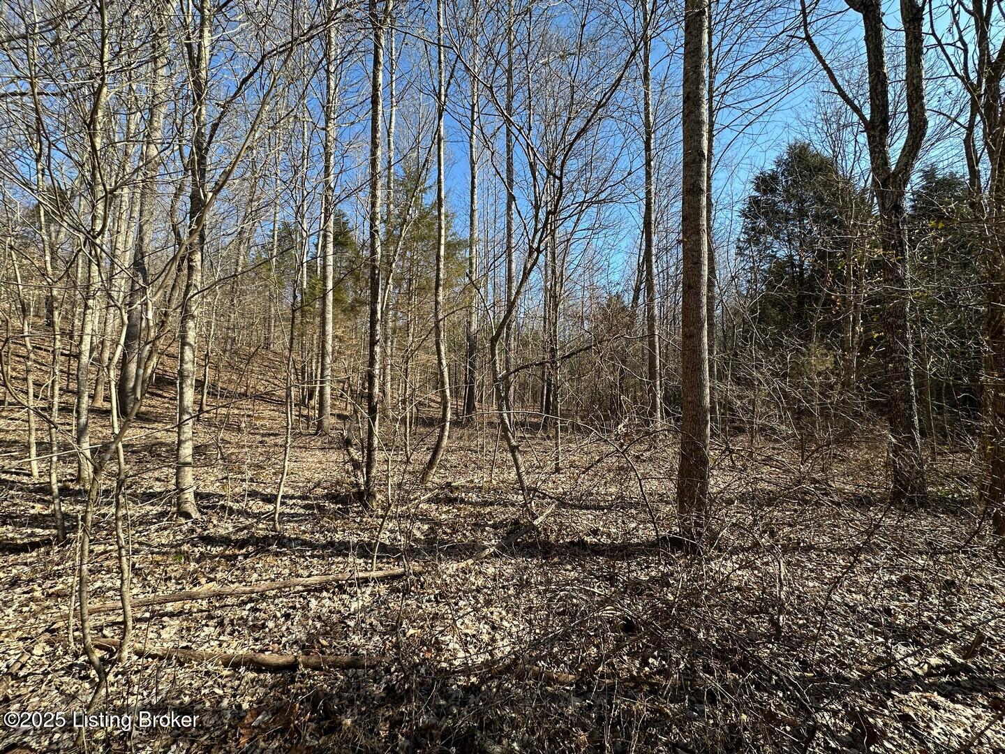 Lot 15 Duvall Rd Property Photo 5