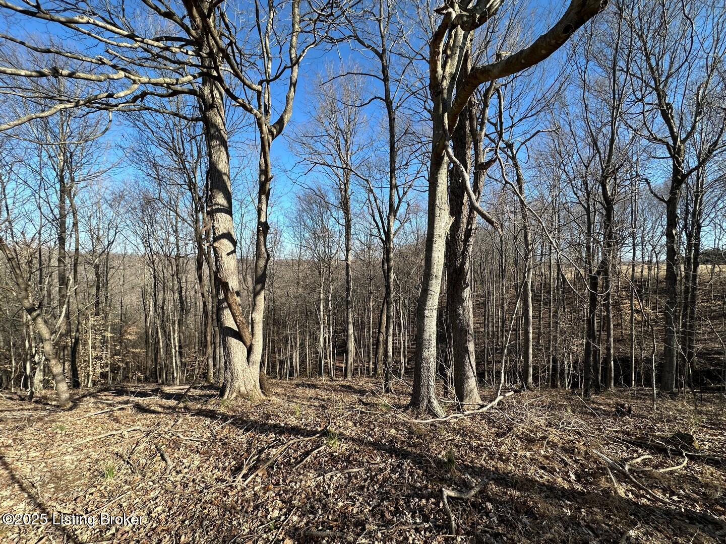 Lot 15 Duvall Rd Property Photo 6