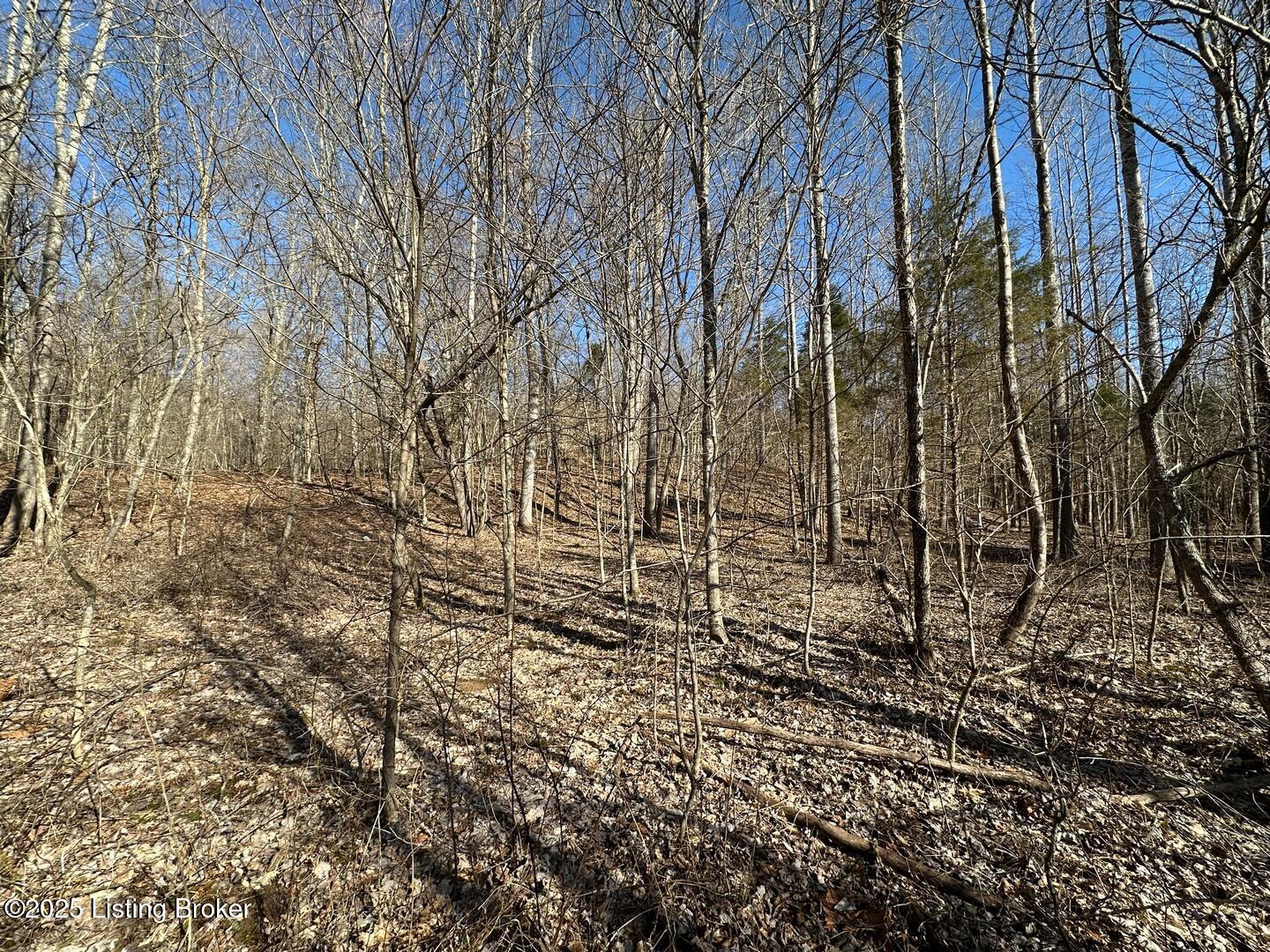 Lot 15 Duvall Rd Property Photo 7