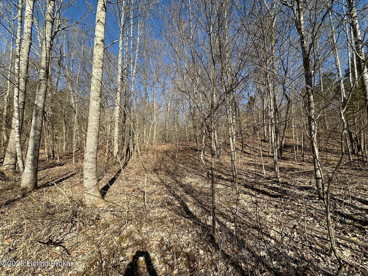 Lot 15 Duvall Rd Property Photo 8