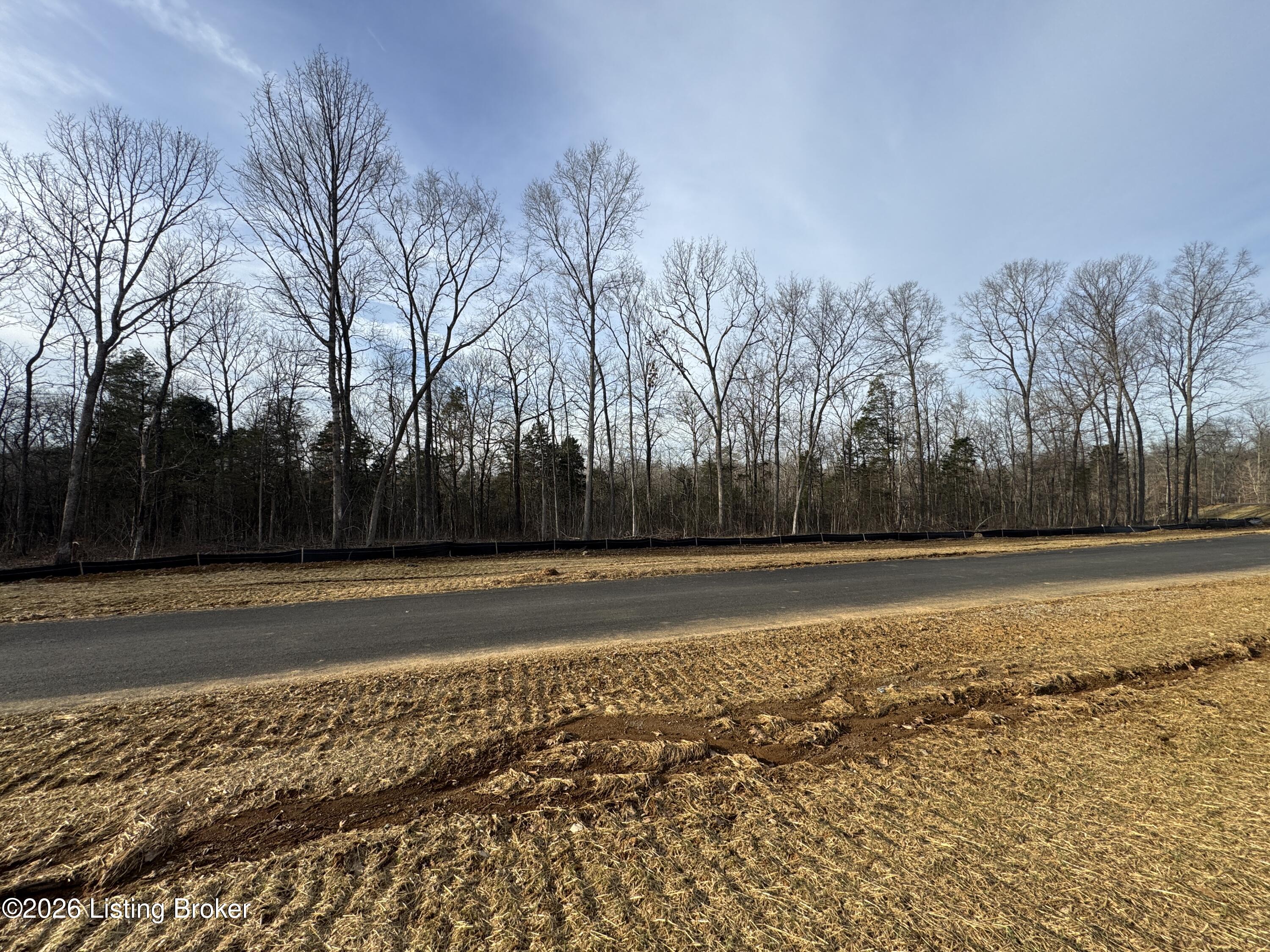 Lot 12 Lana Rd Property Photo 1