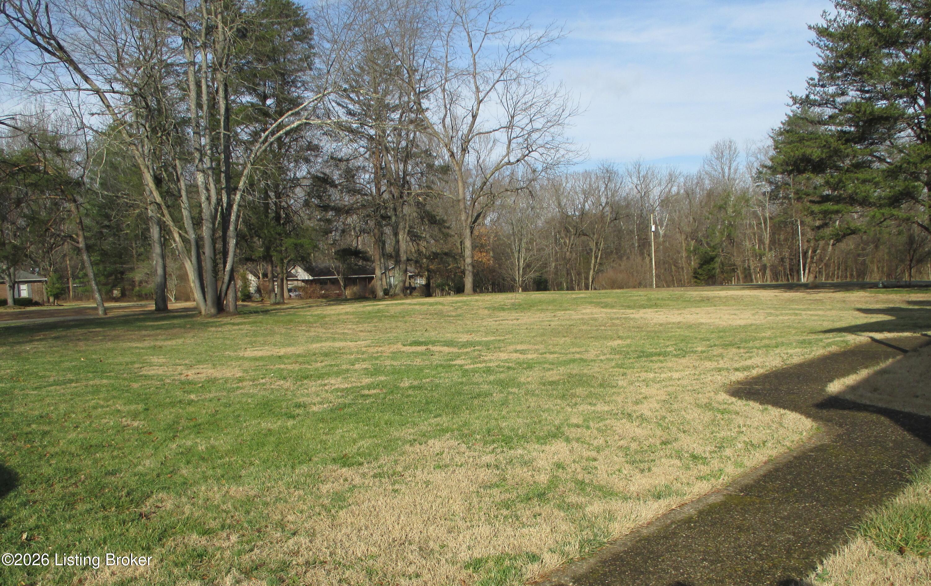 376 Wilderness Trail Property Photo 6