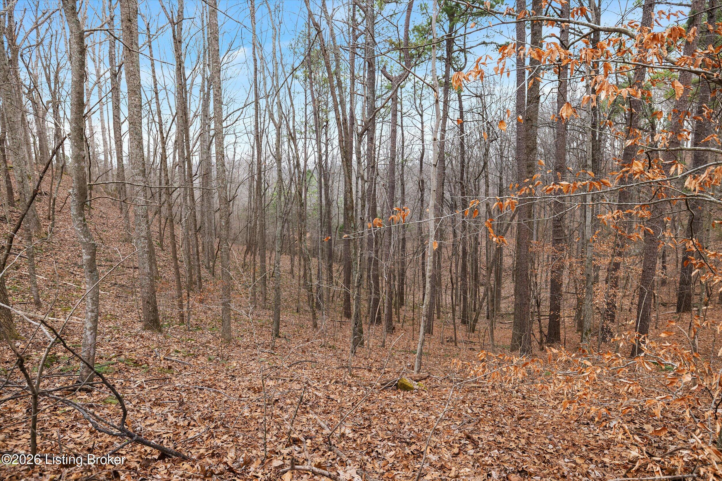 2795 N Pleasant Hill Rd Property Photo 5