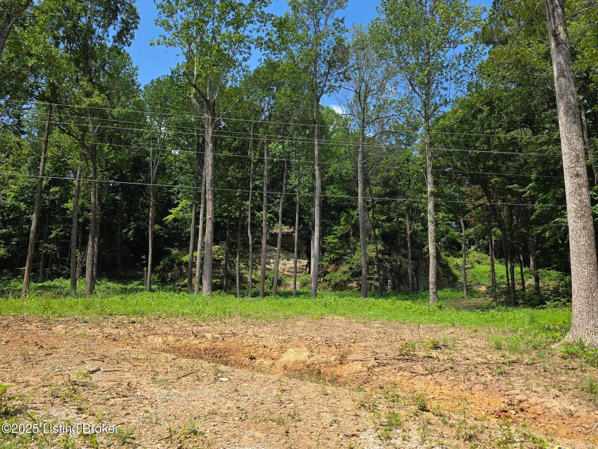 1 Cave Creek Rd Property Photo 9