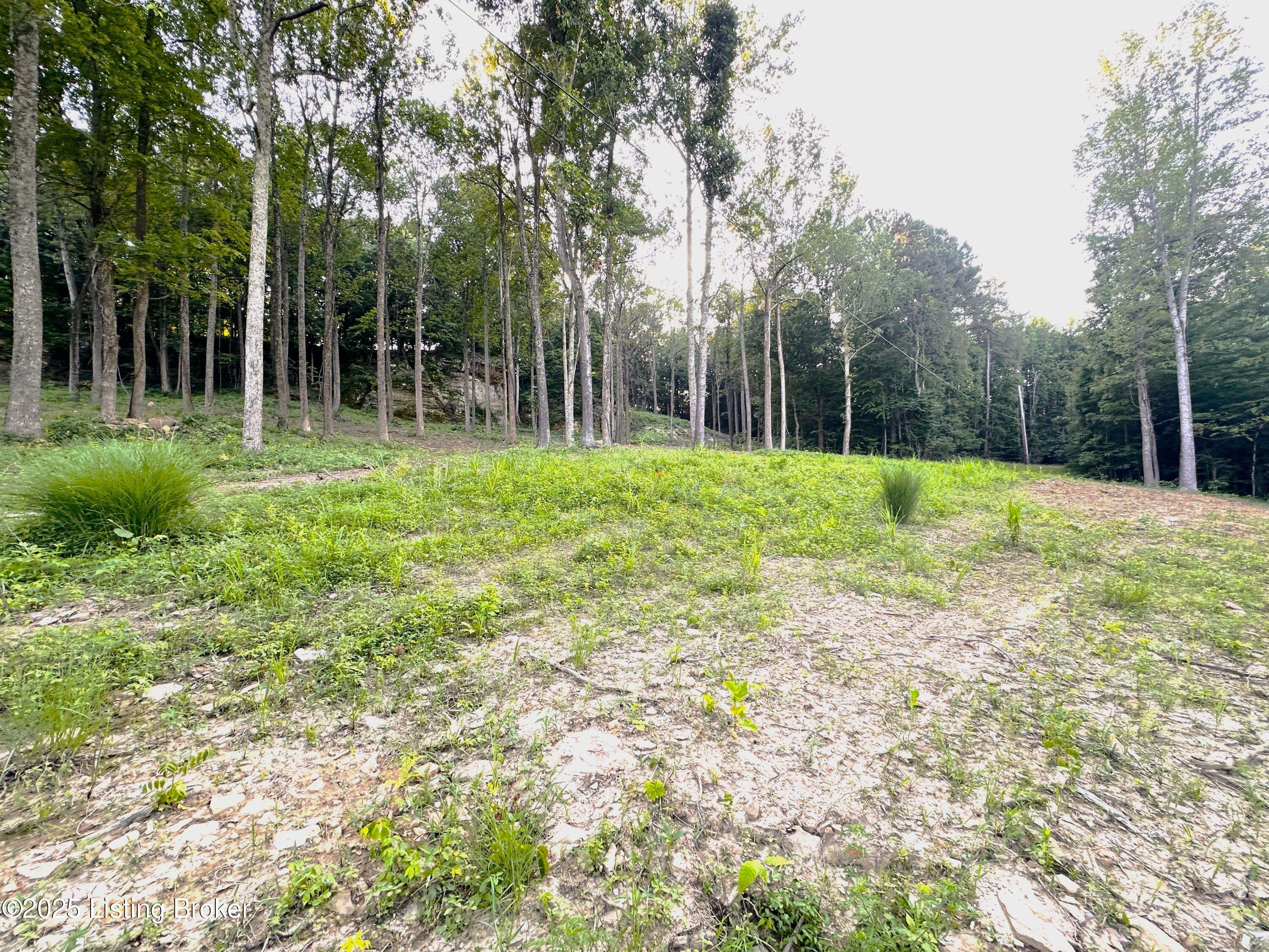 1 Cave Creek Rd Property Photo 11