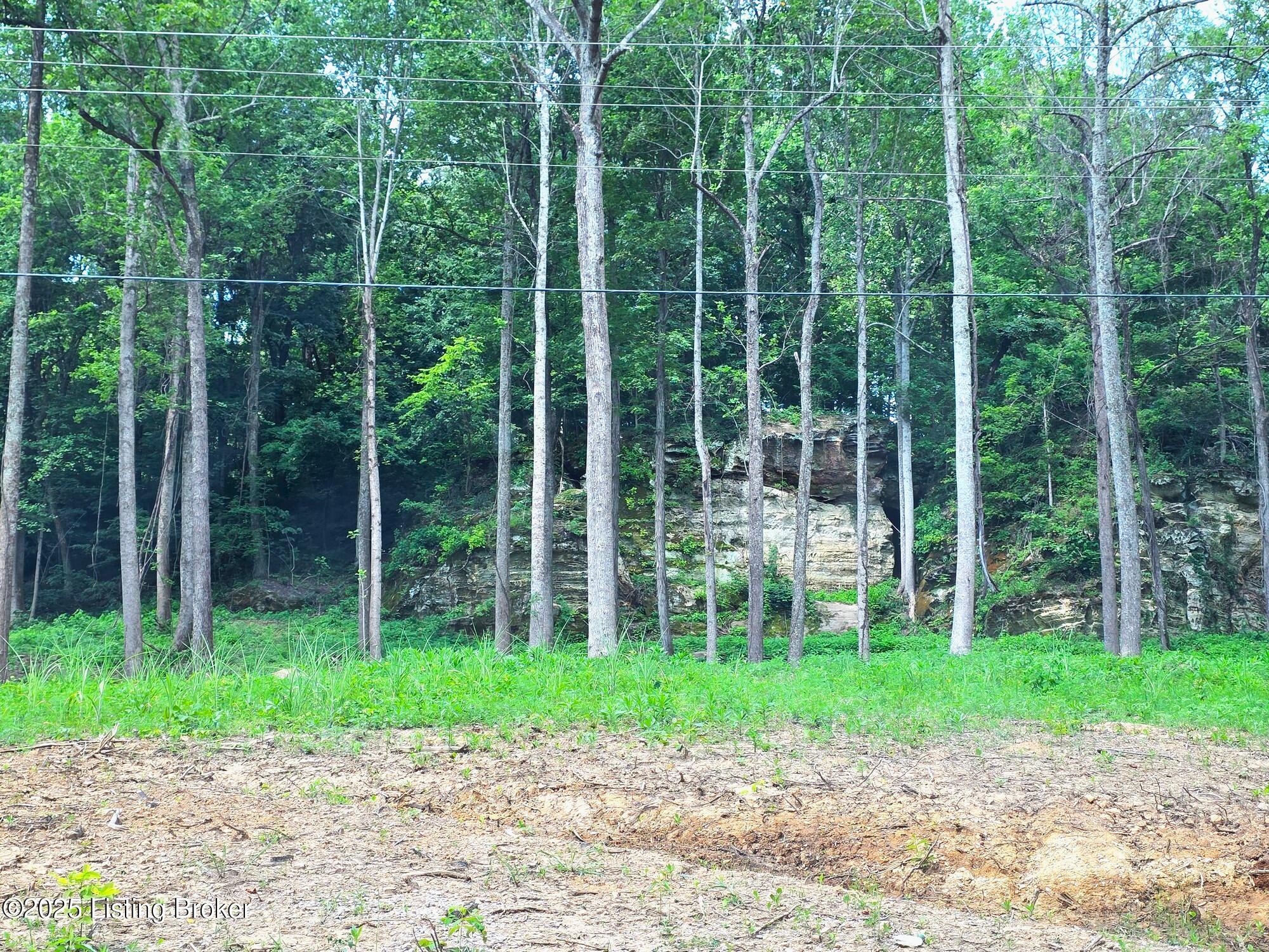 3 Cave Creek Rd Property Photo 5