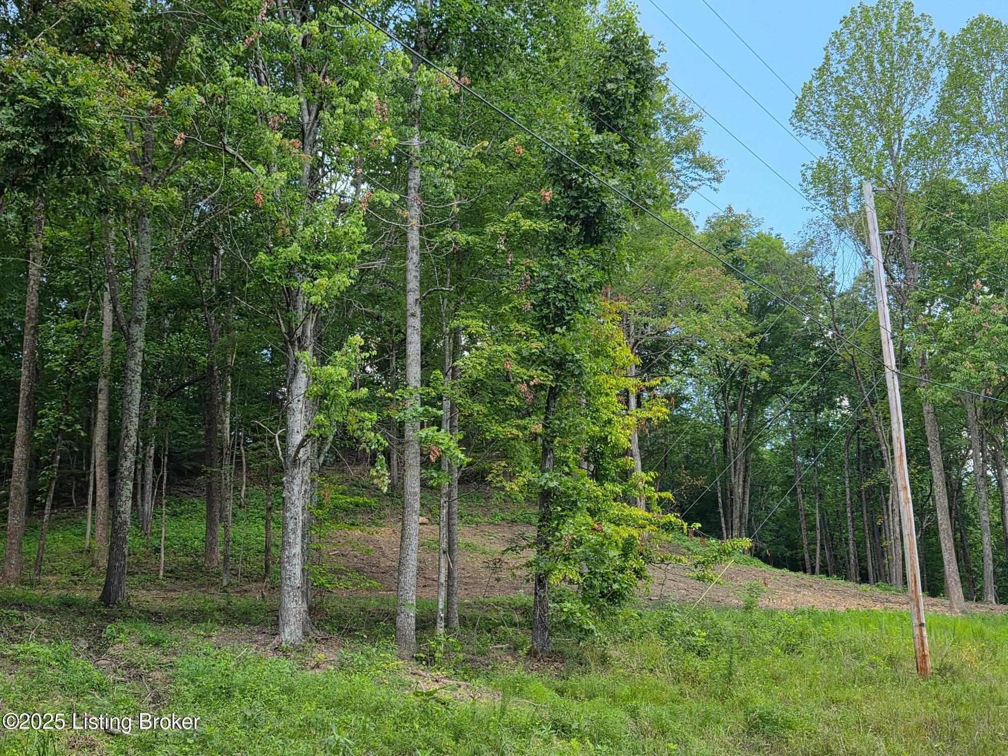 6 Cave Creek Rd Property Photo 1