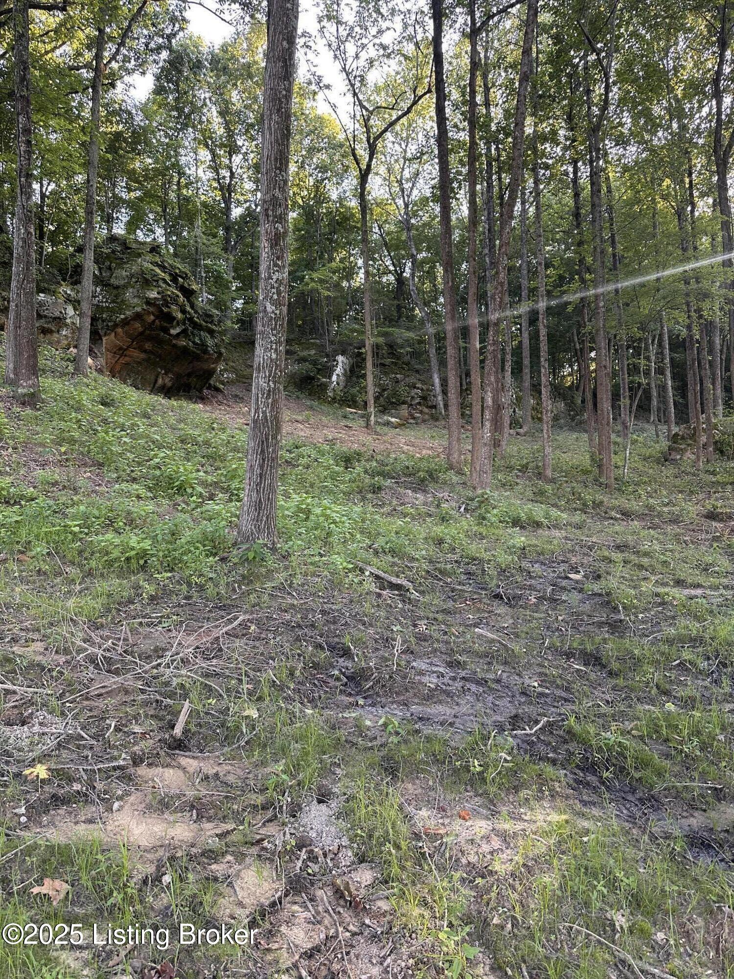 6 Cave Creek Rd Property Photo 10