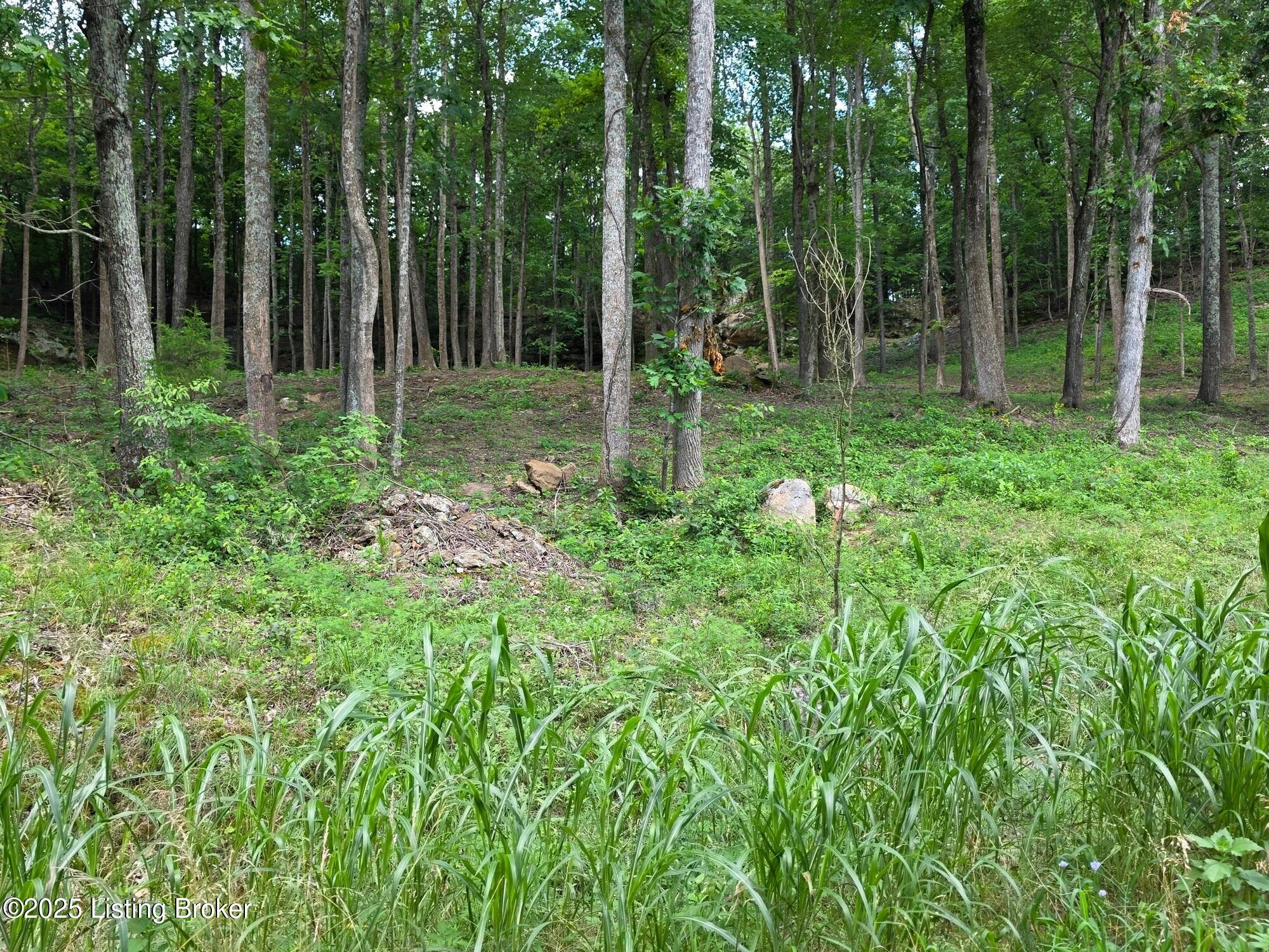 7 Cave Creek Rd Property Photo 9