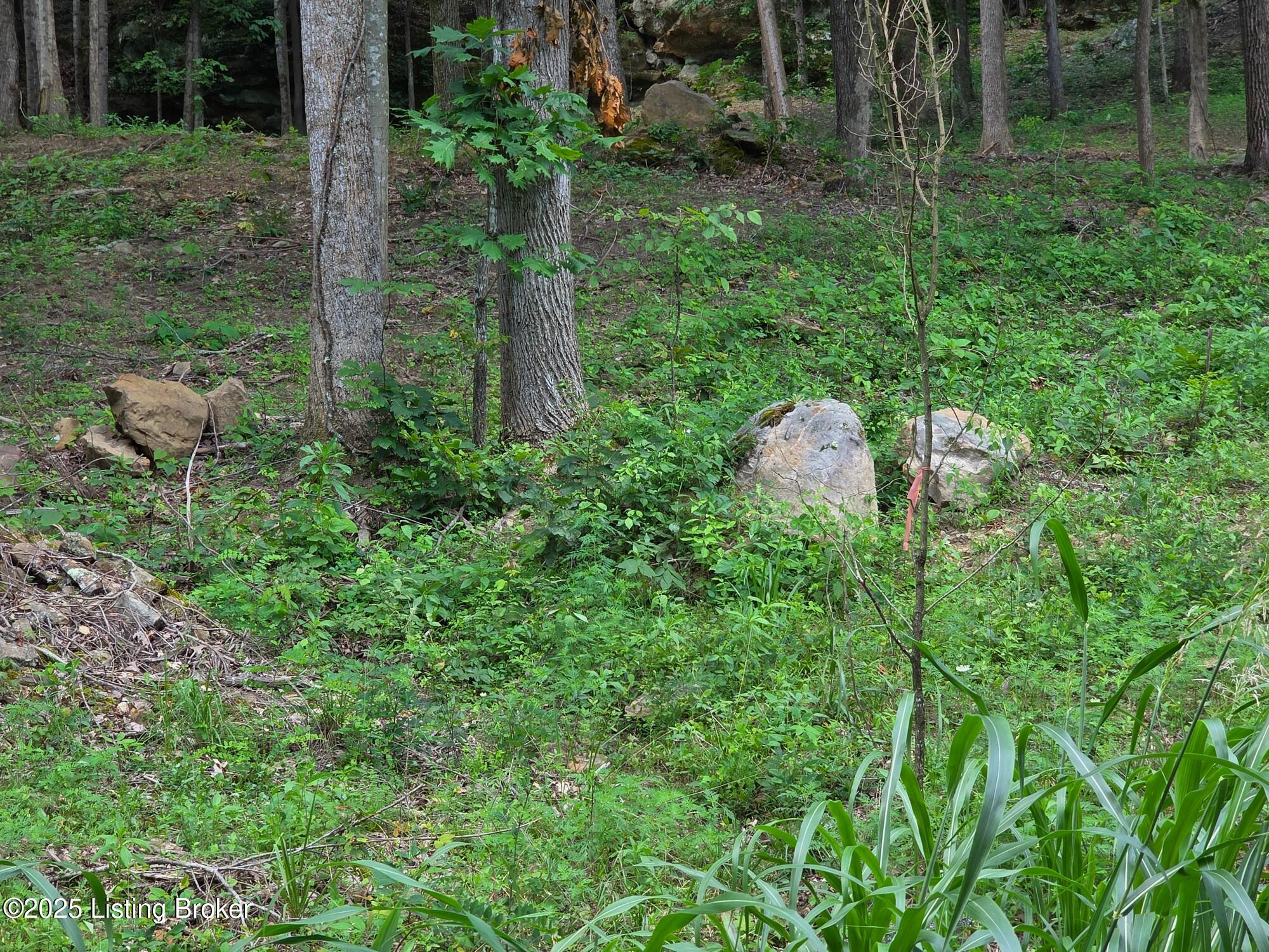 7 Cave Creek Rd Property Photo 10
