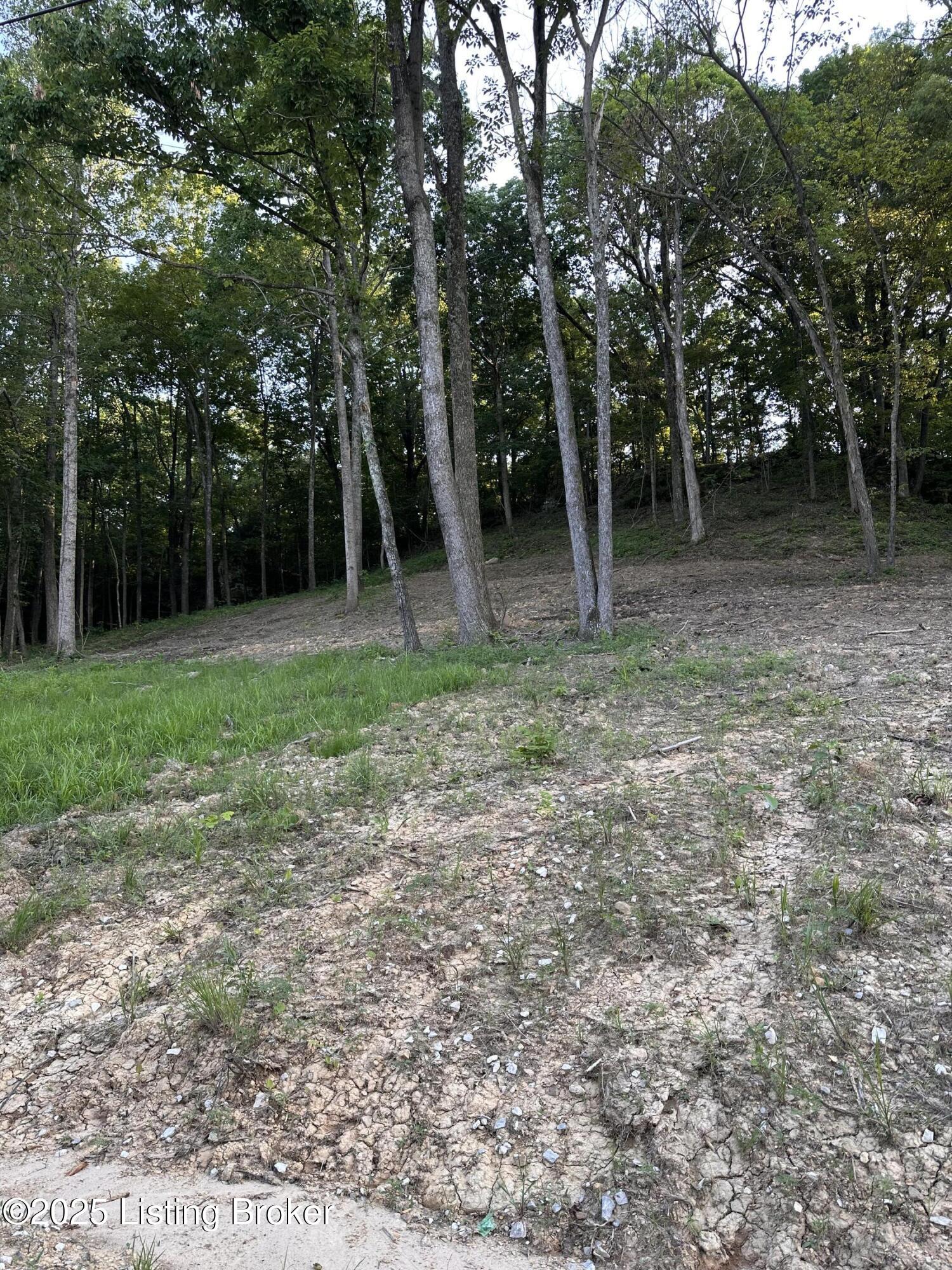 7 Cave Creek Rd Property Photo 12
