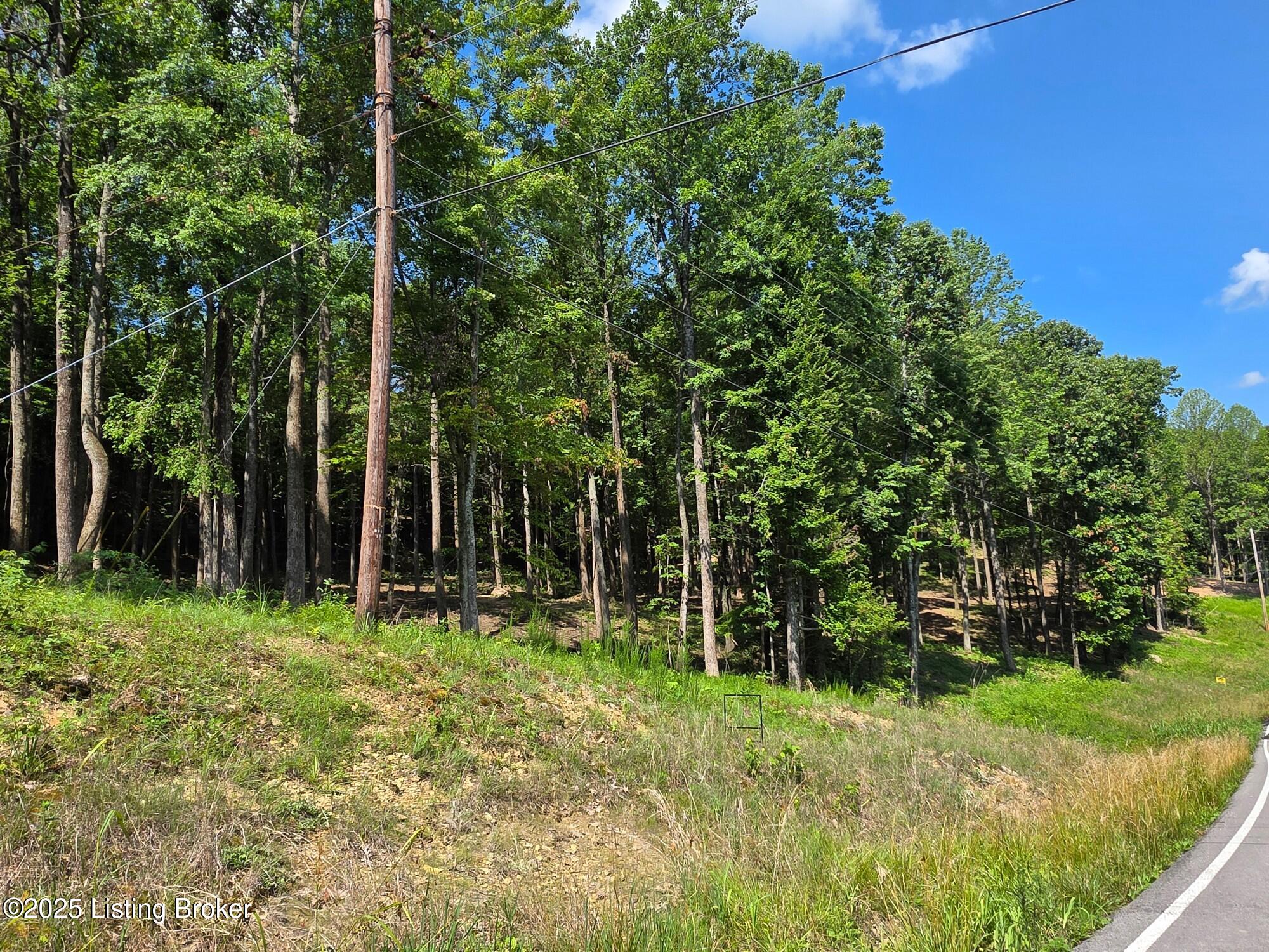 0 Cave Creek Rd Property Photo 3