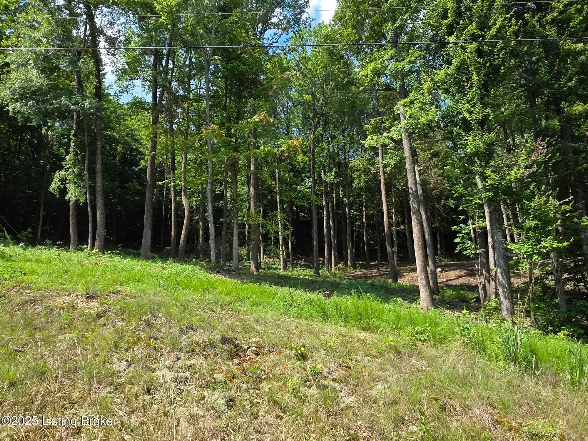 0 Cave Creek Rd Property Photo 6