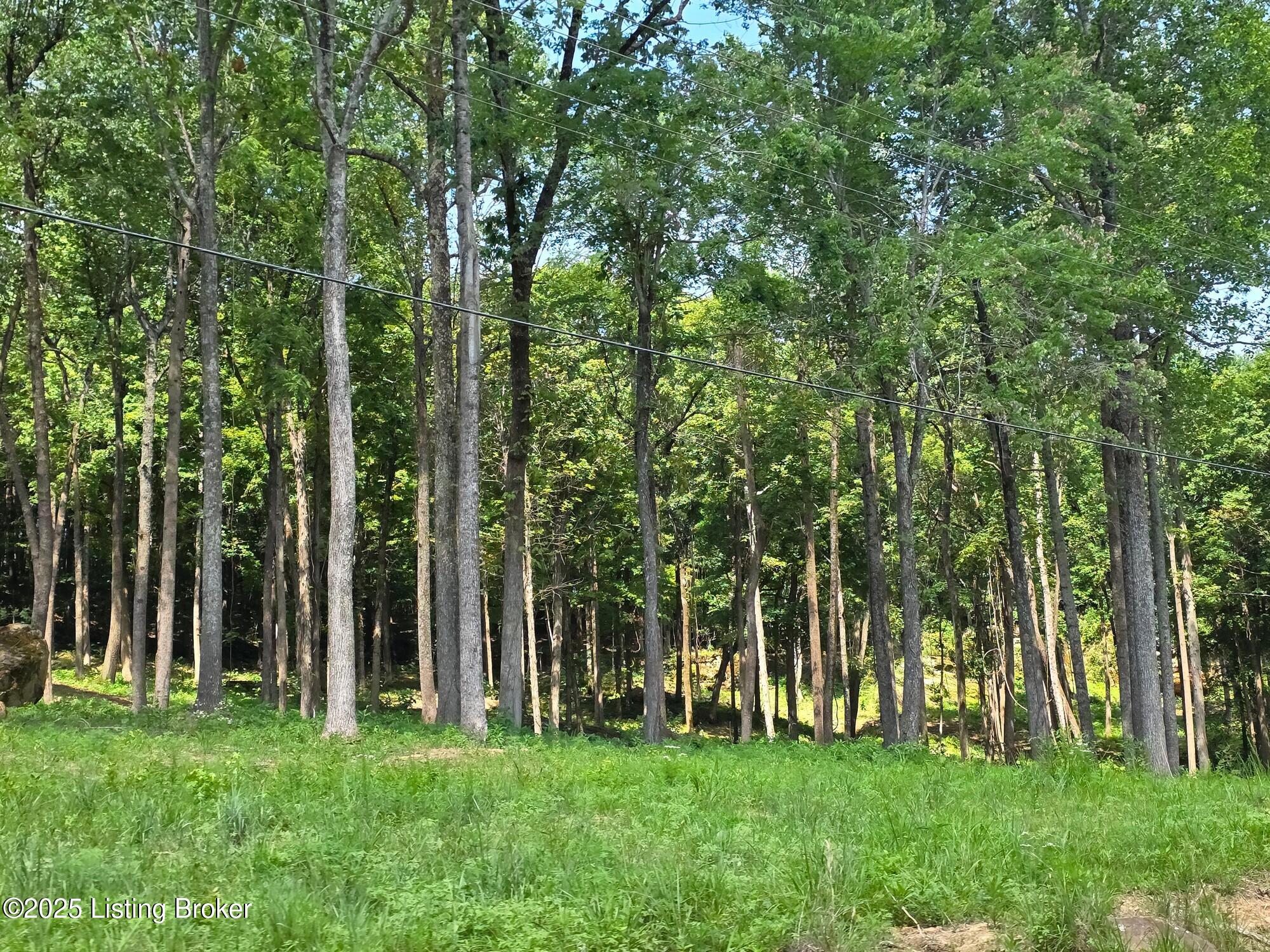 0 Cave Creek Rd Property Photo 19