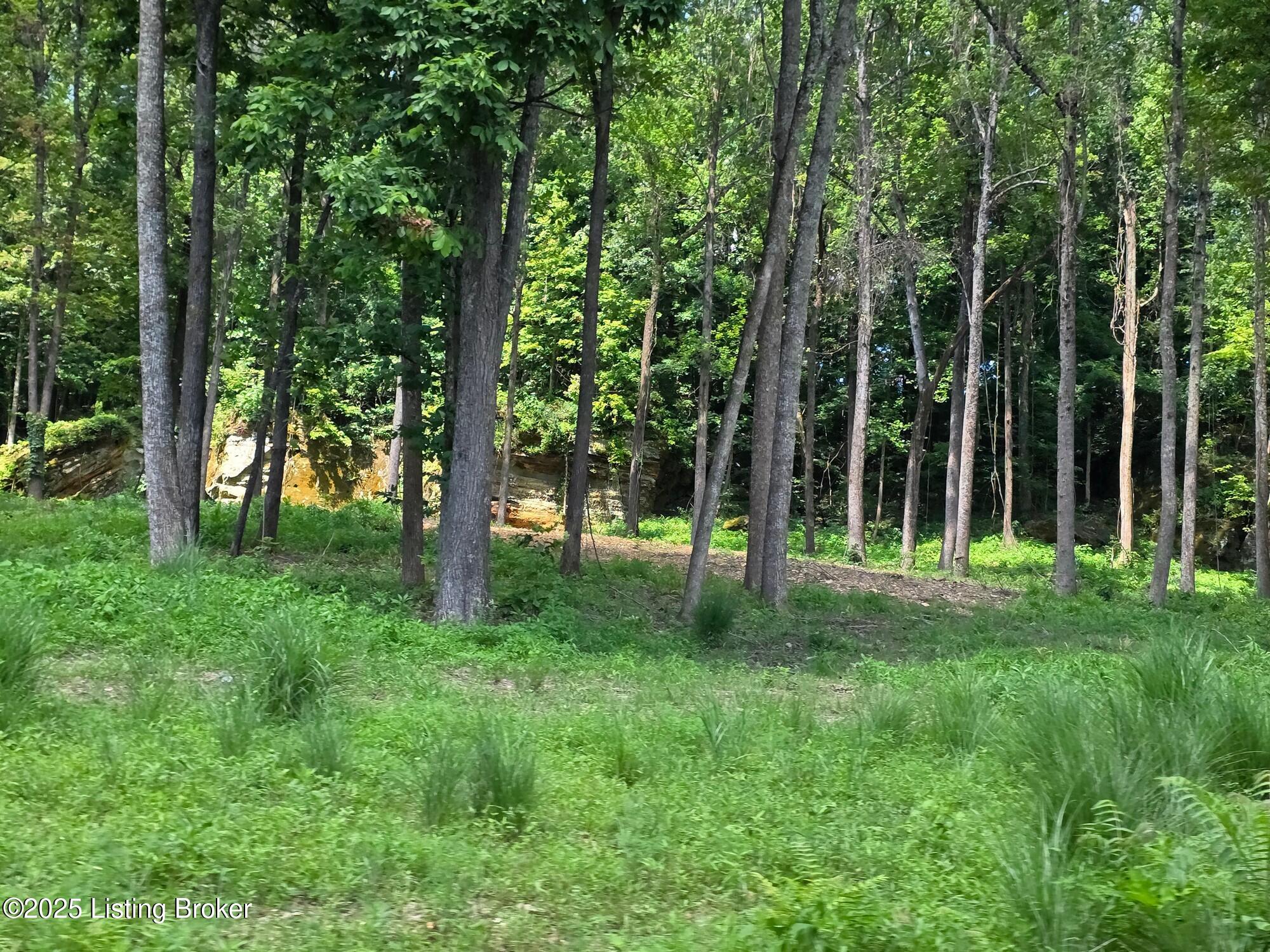 0 Cave Creek Rd Property Photo 28