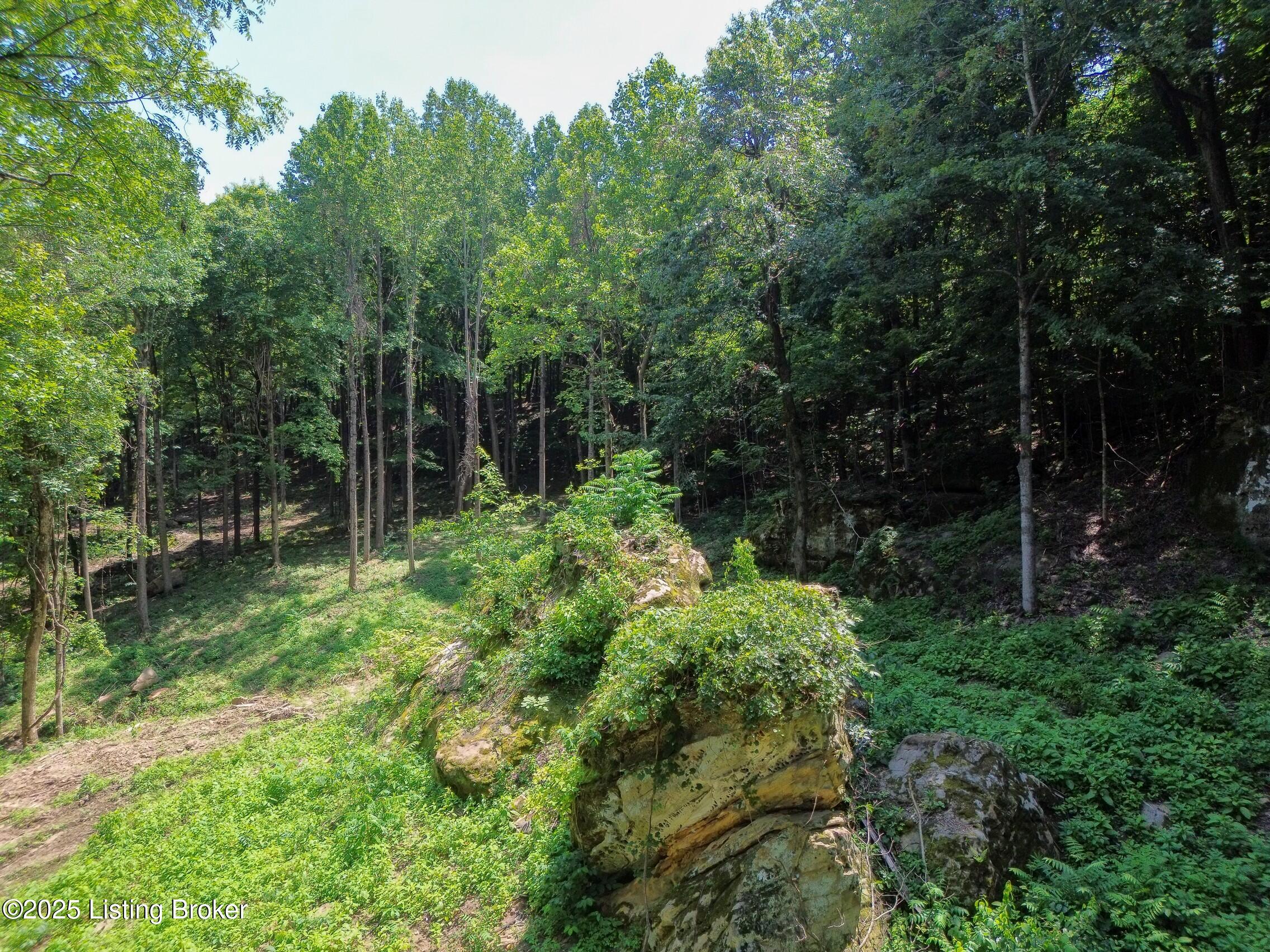 0 Cave Creek Rd Property Photo 35