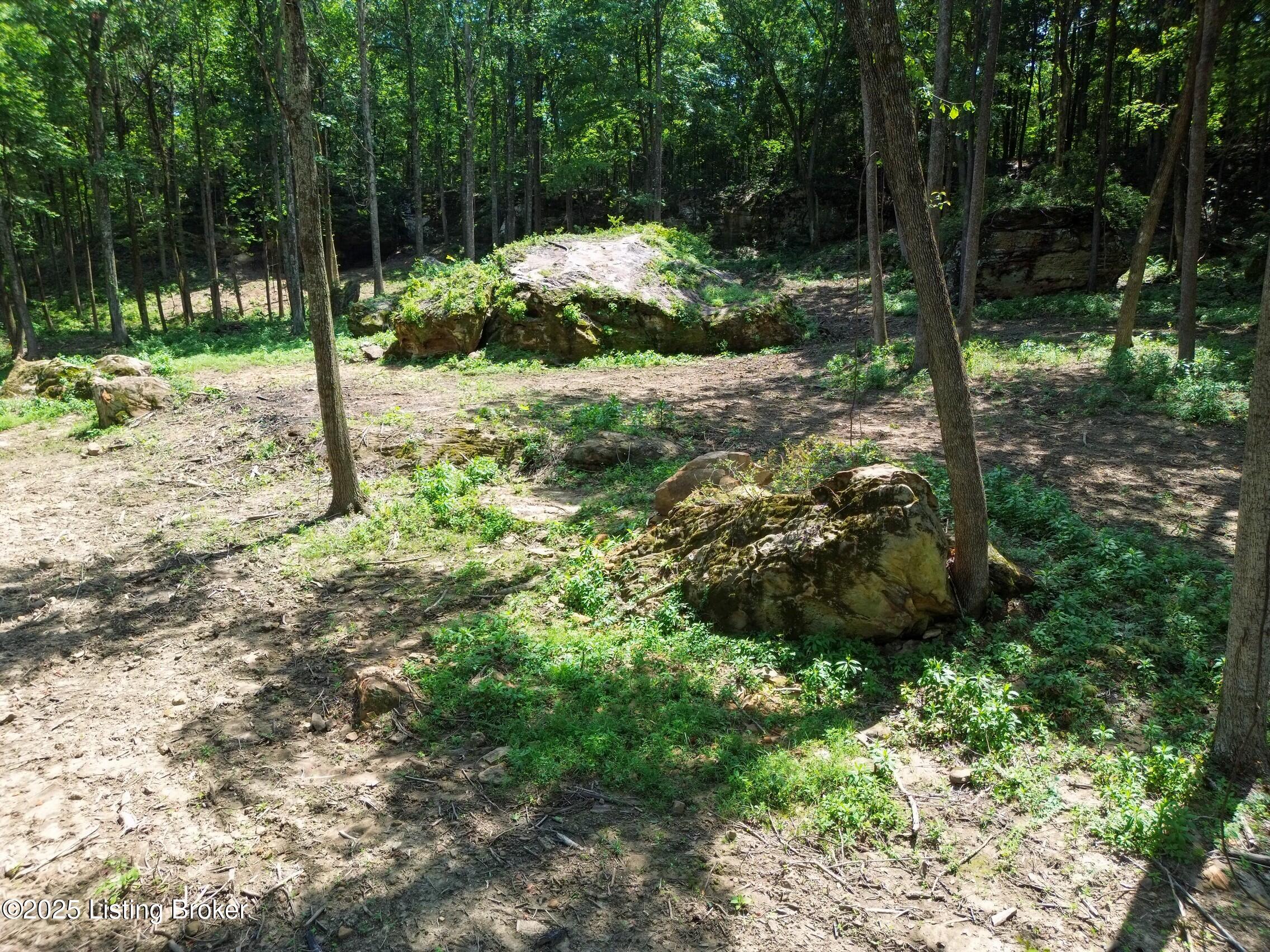 0 Cave Creek Rd Property Photo 39