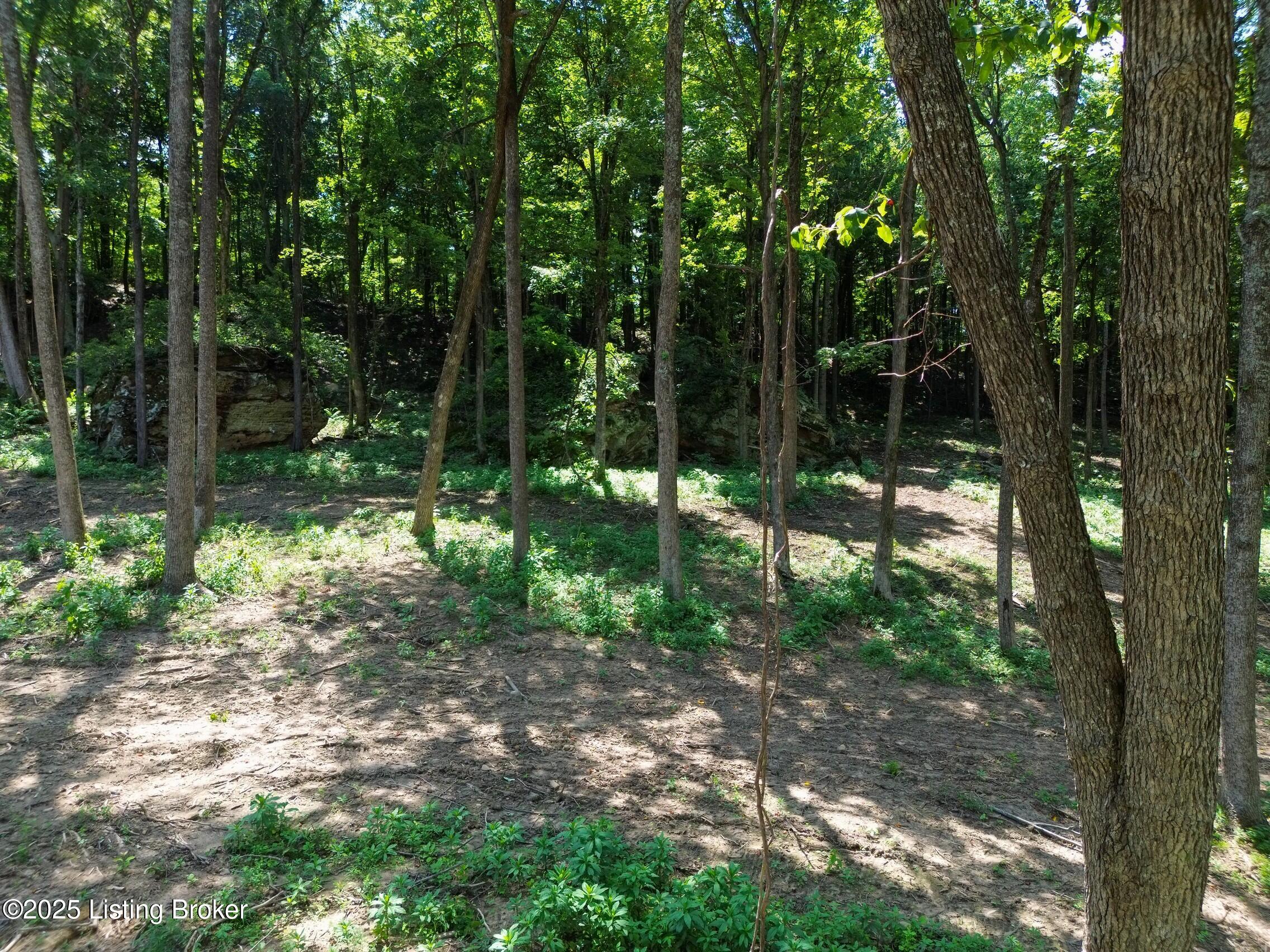 0 Cave Creek Rd Property Photo 40
