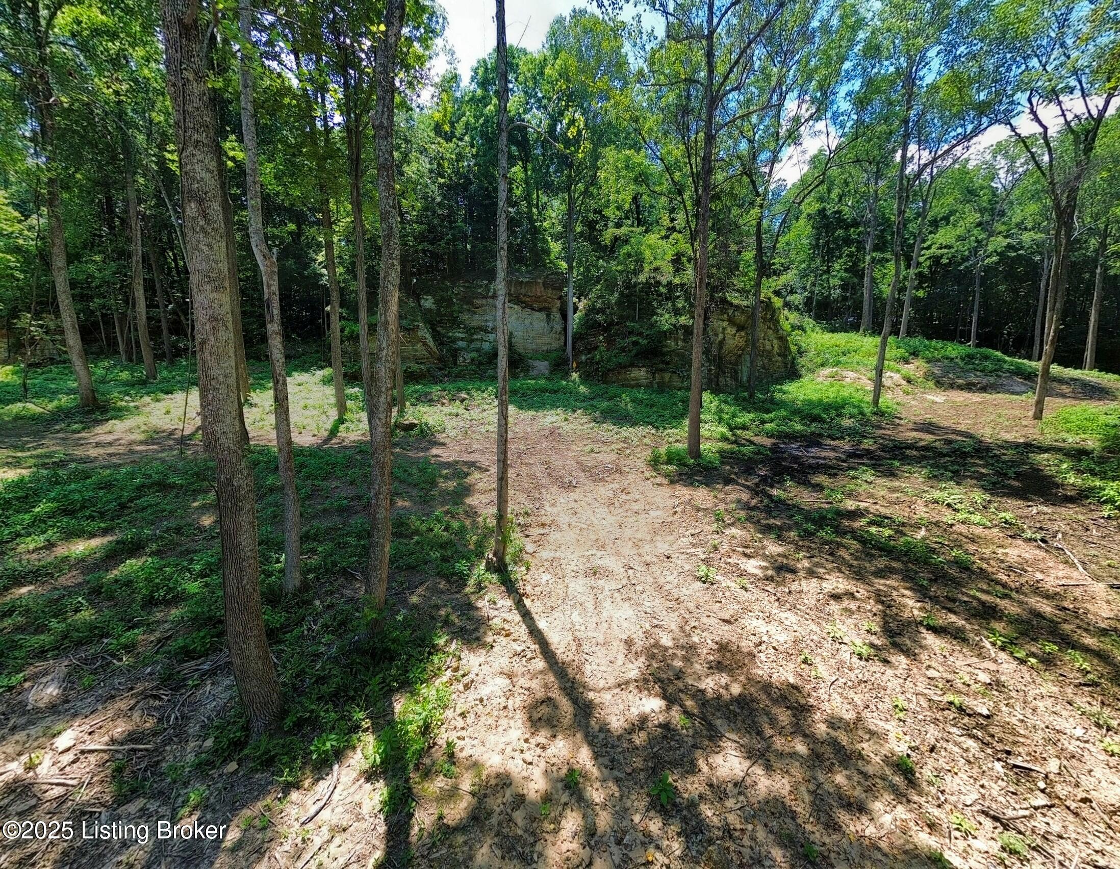 0 Cave Creek Rd Property Photo 44