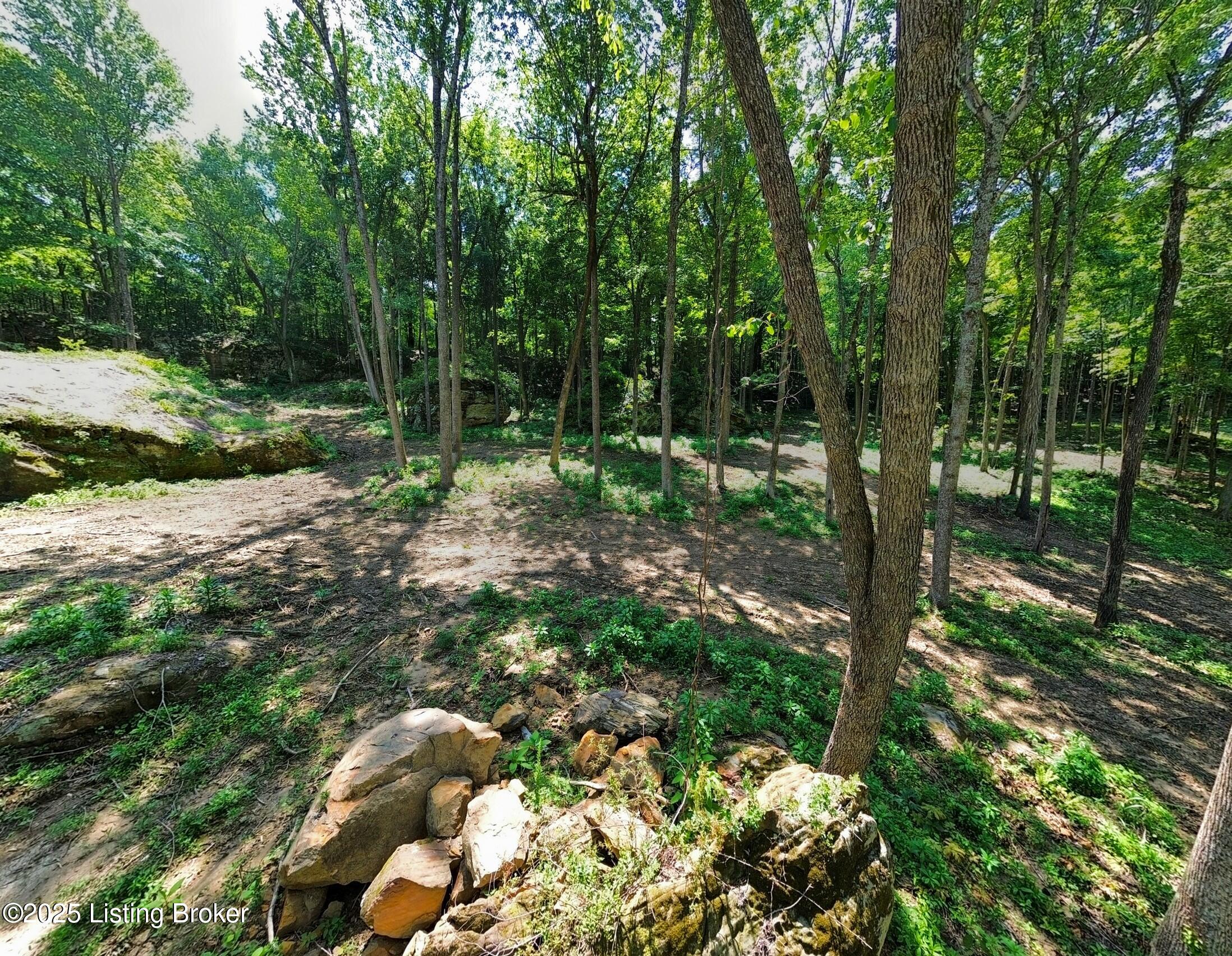 0 Cave Creek Rd Property Photo 48