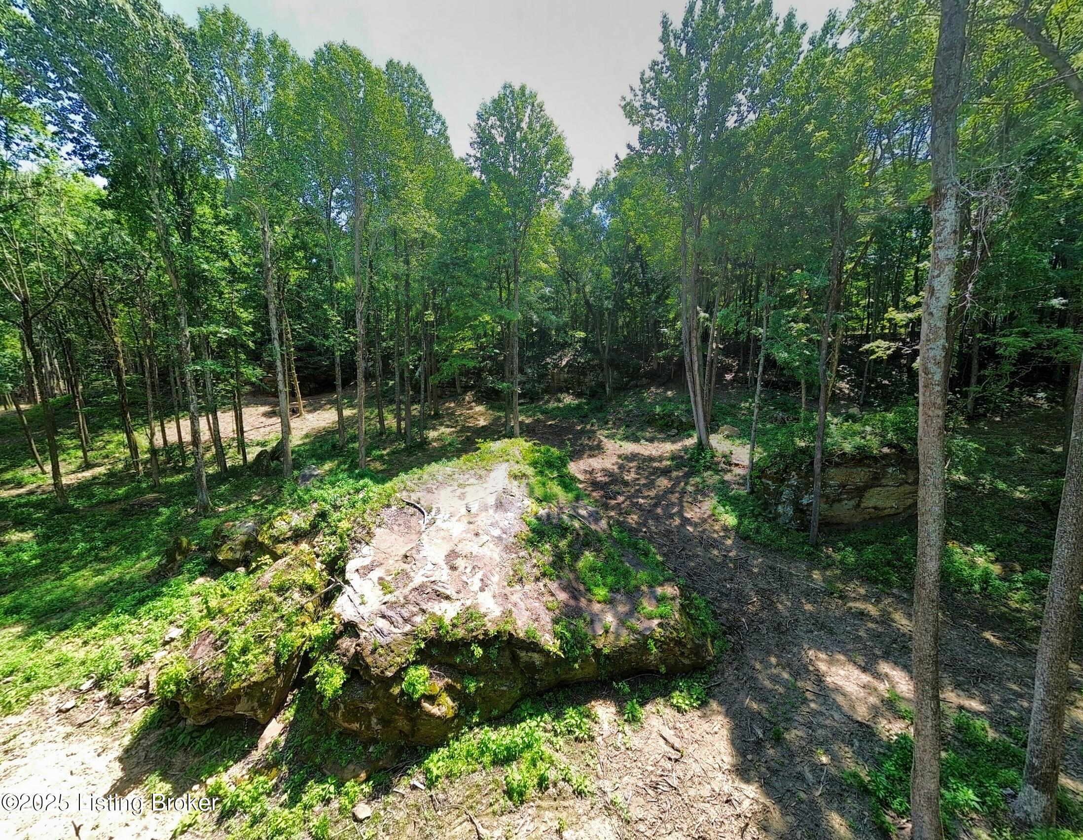 0 Cave Creek Rd Property Photo 49