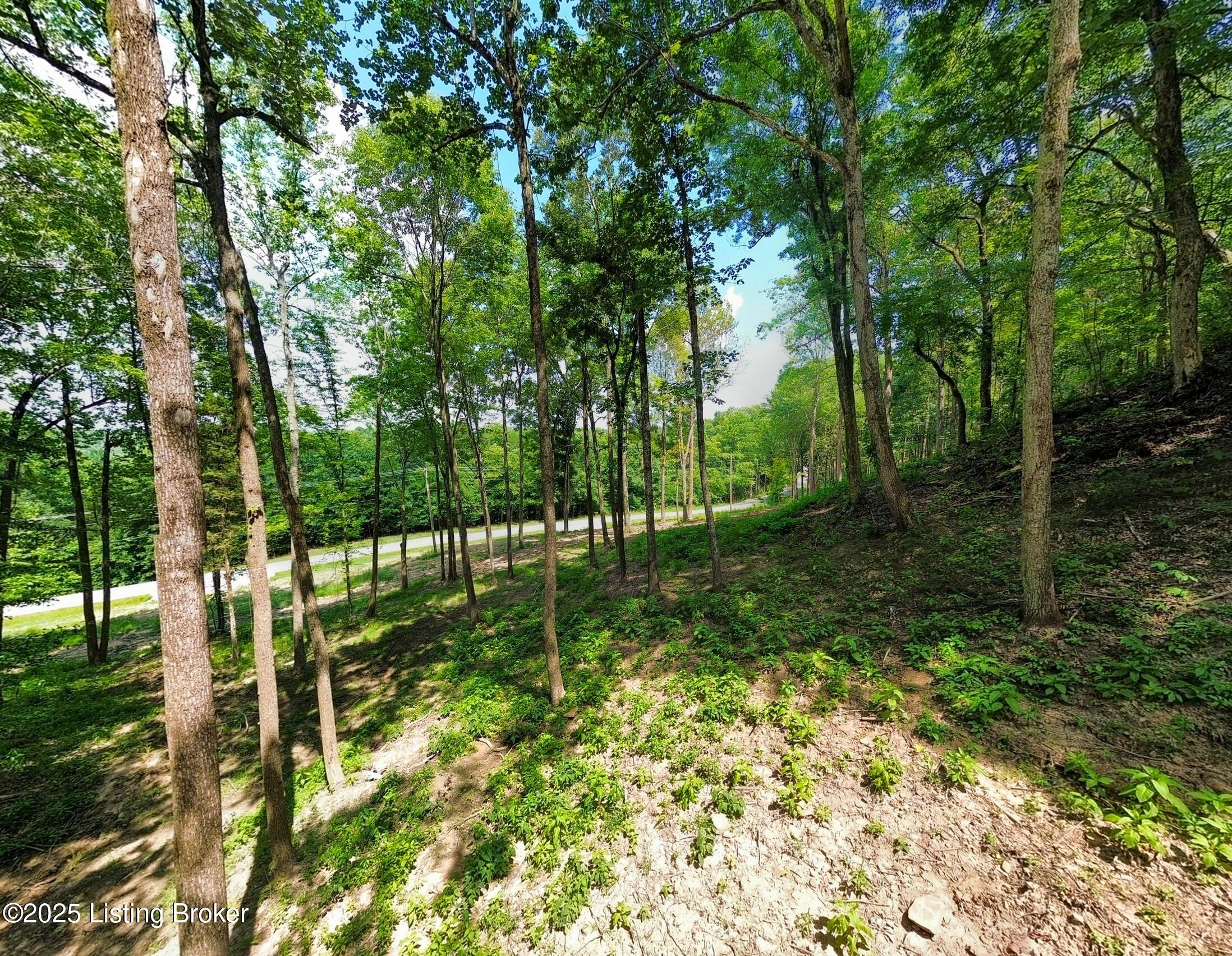 0 Cave Creek Rd Property Photo 51