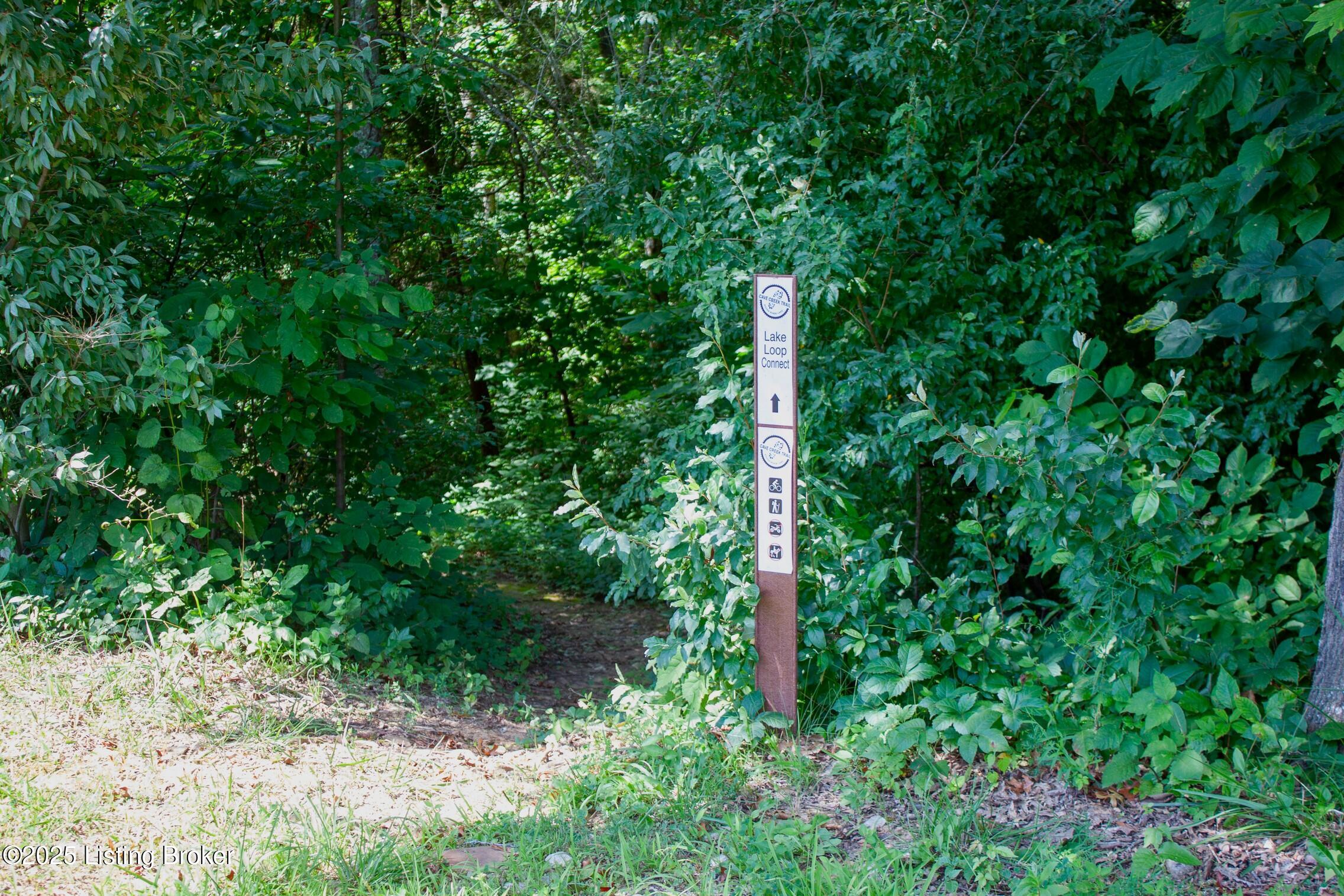 0 Cave Creek Rd Property Photo 64
