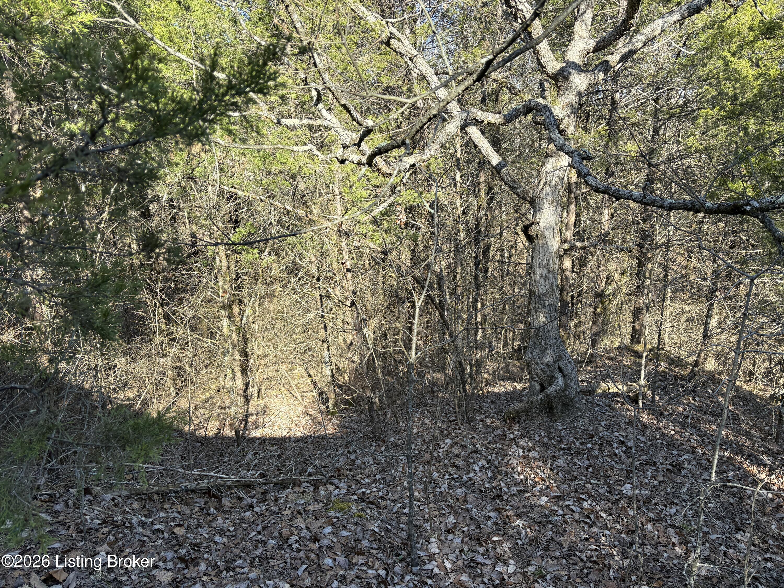 418 Stauffer Ct Property Photo 17