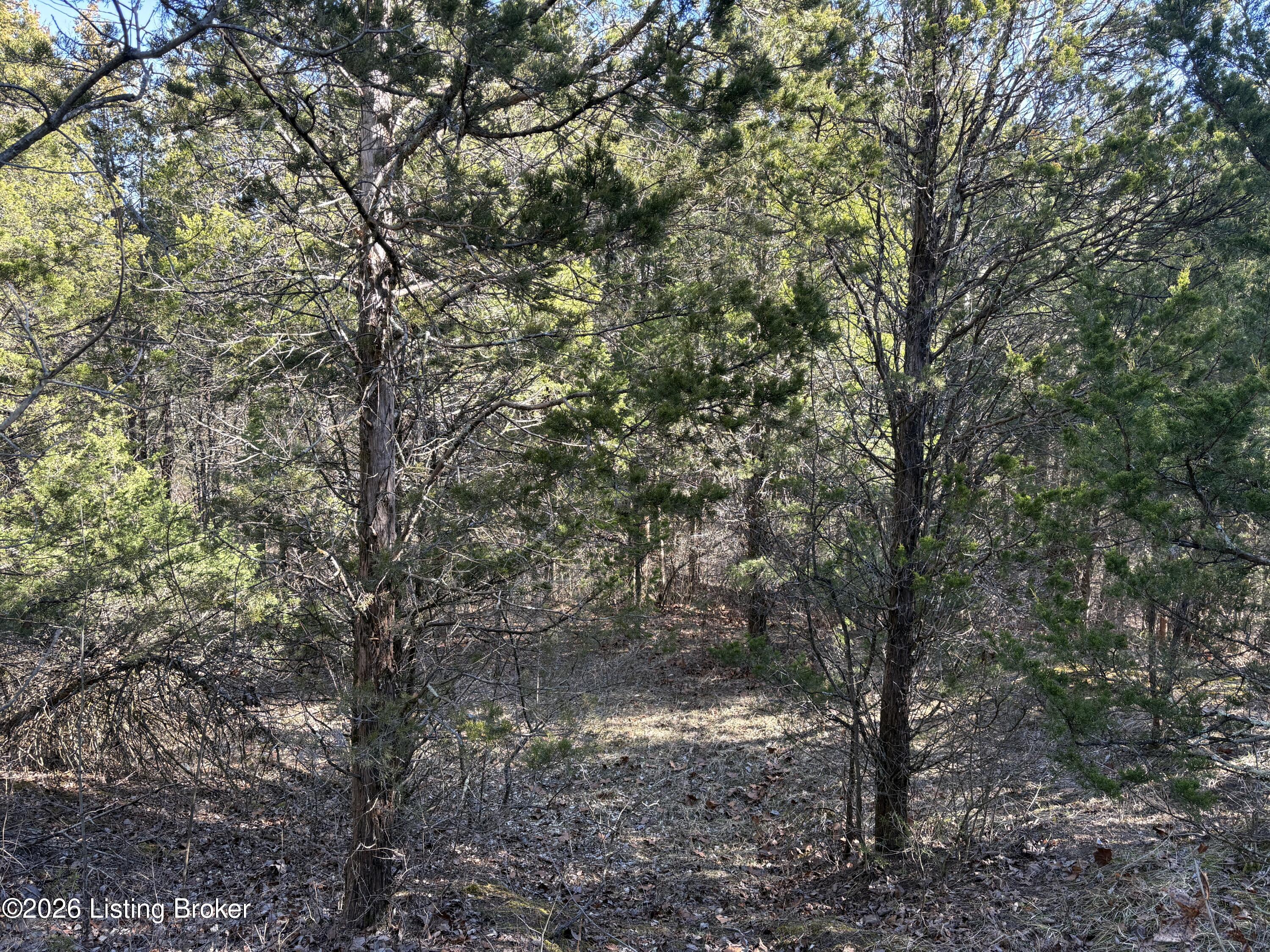 418 Stauffer Ct Property Photo 18