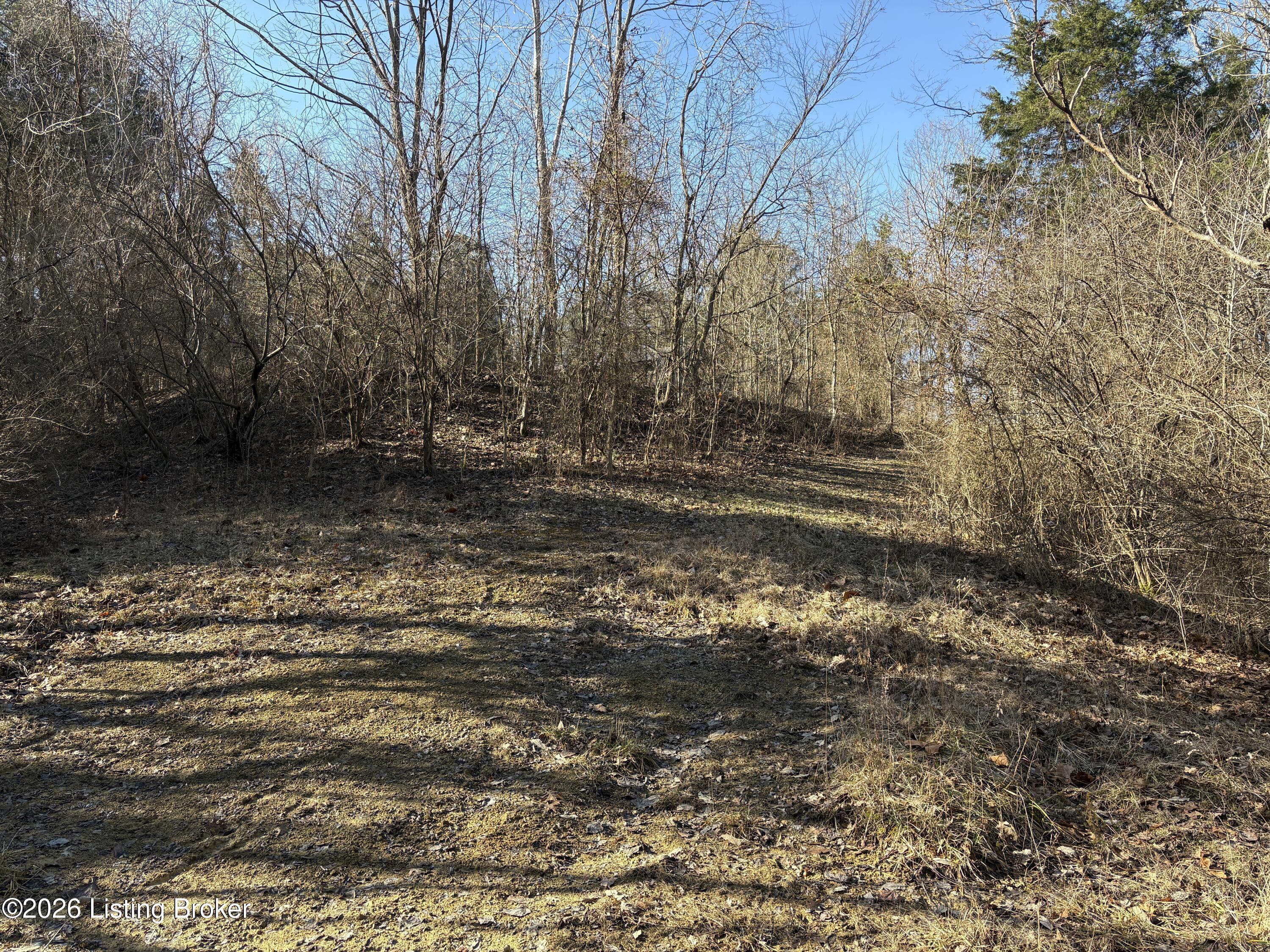 418 Stauffer Ct Property Photo 19