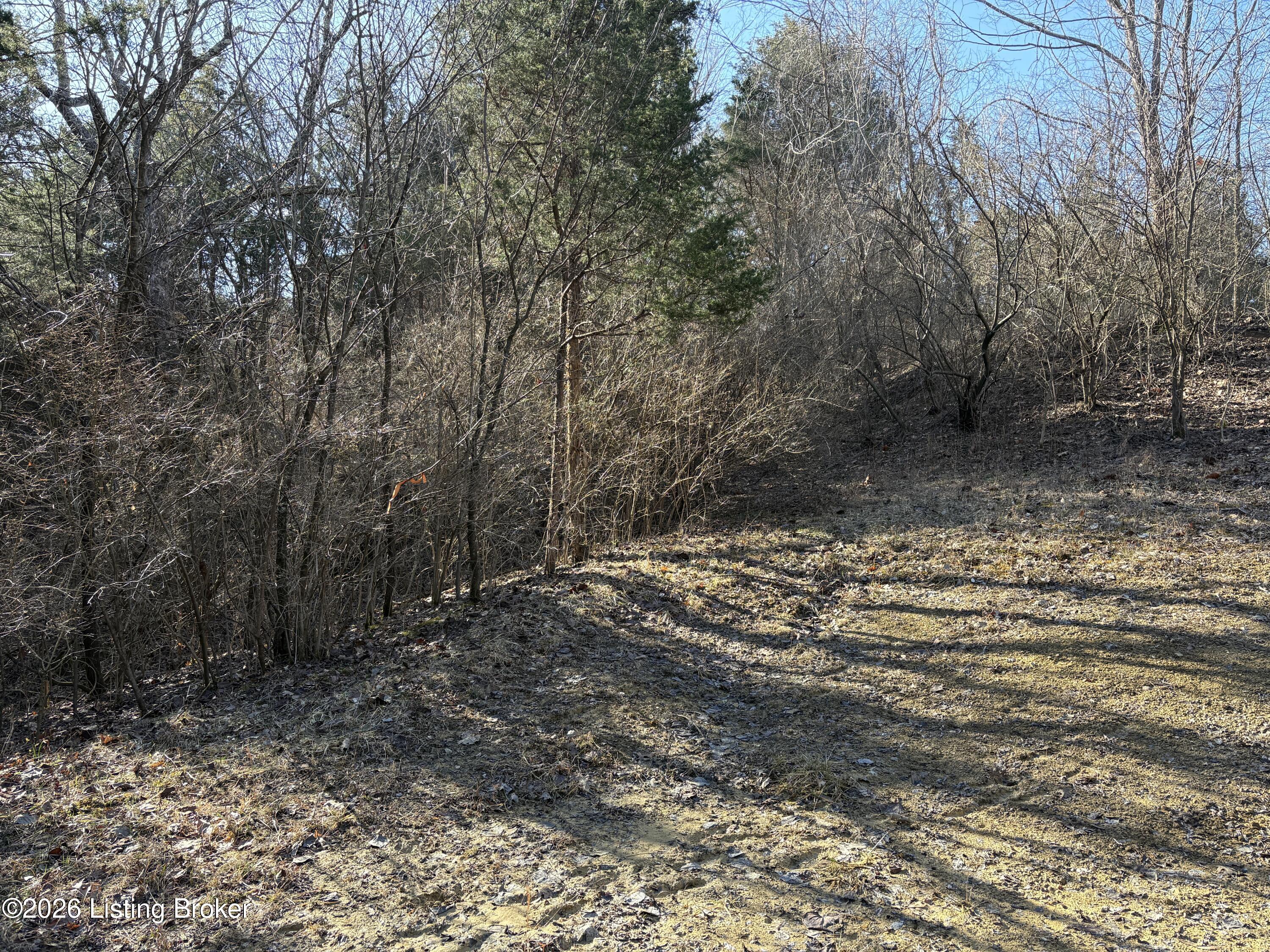 418 Stauffer Ct Property Photo 20