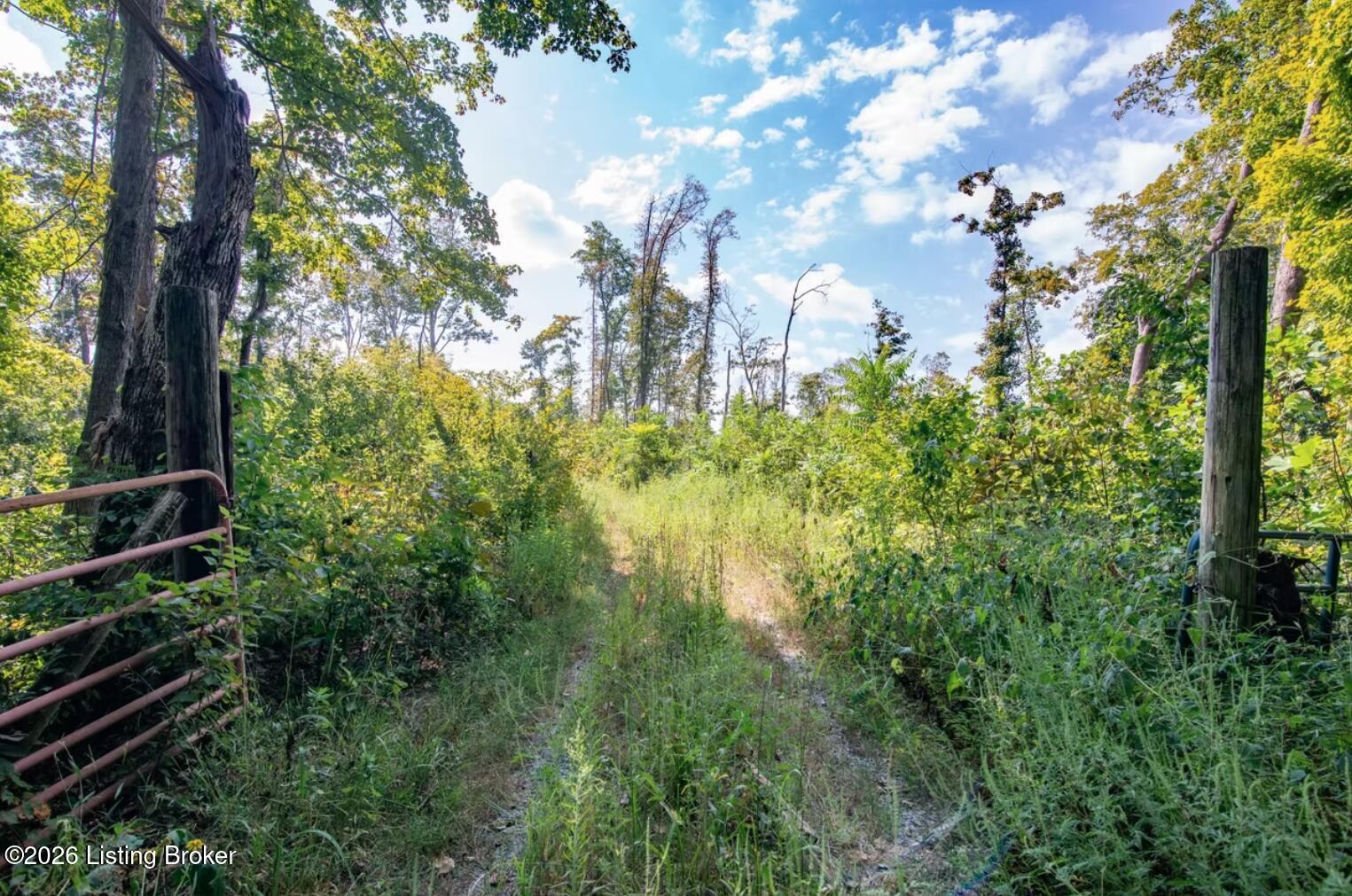 0 Scott-marcum Rd Property Photo 11