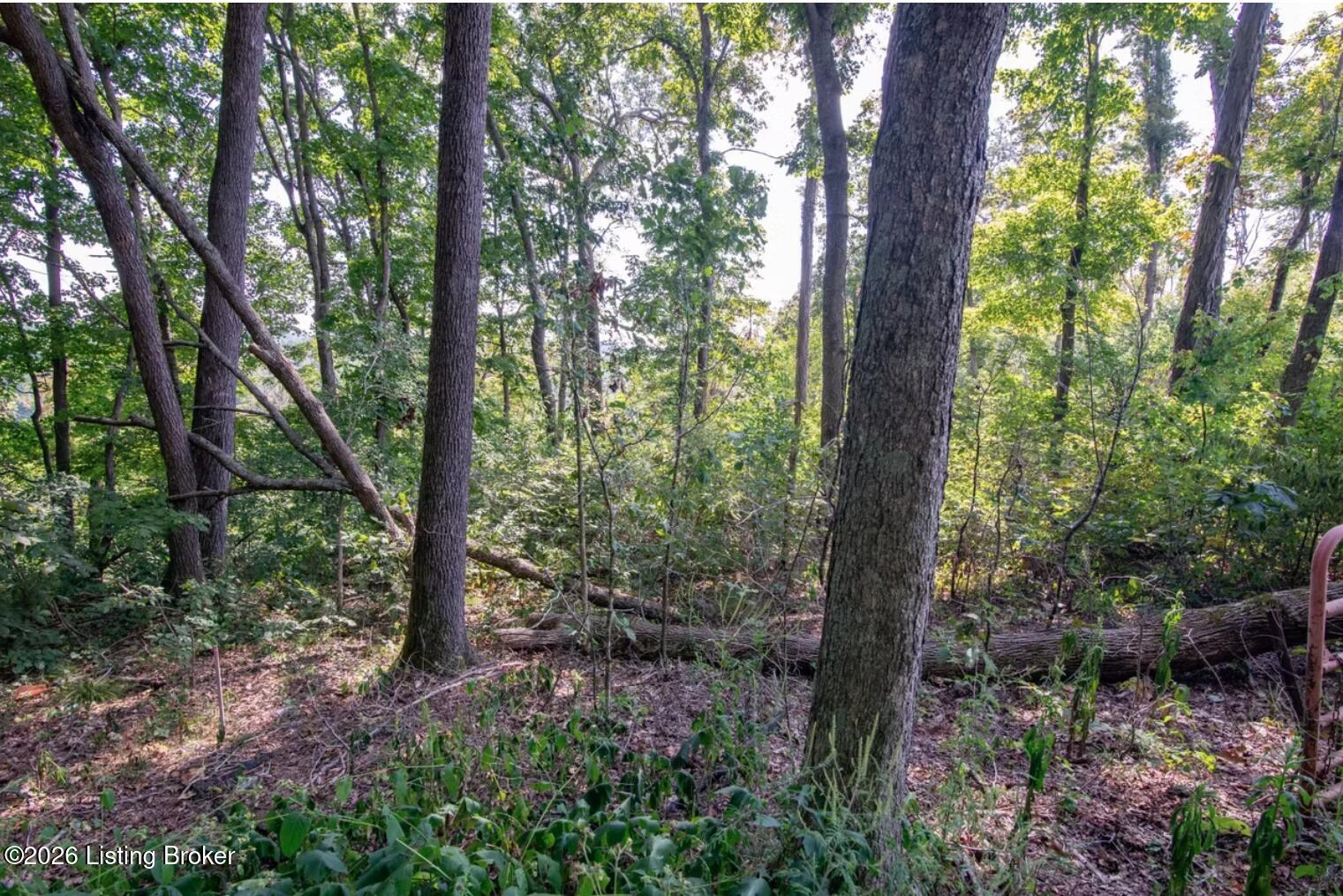 0 Scott-marcum Rd Property Photo 12