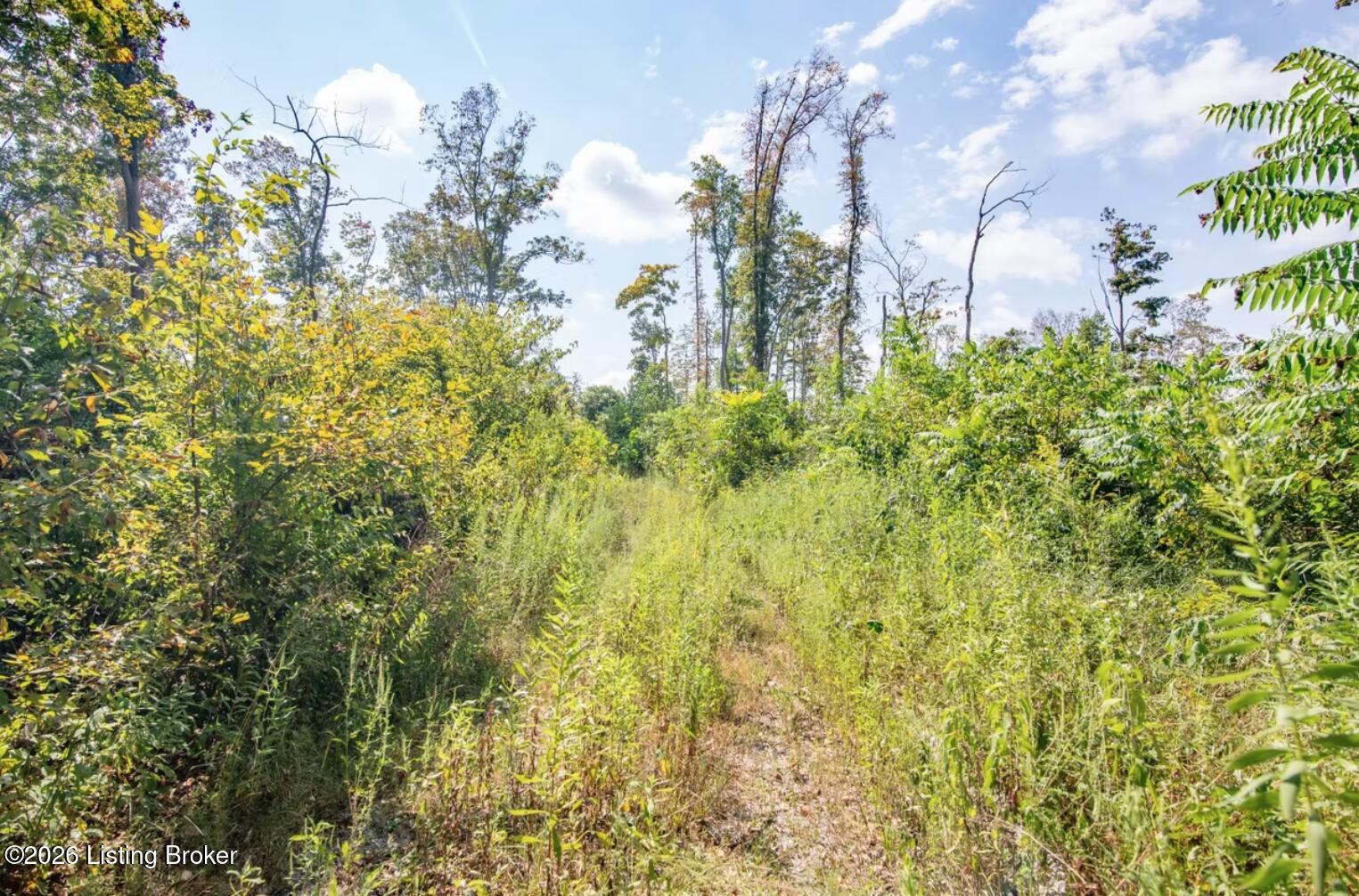 0 Scott-marcum Rd Property Photo 13