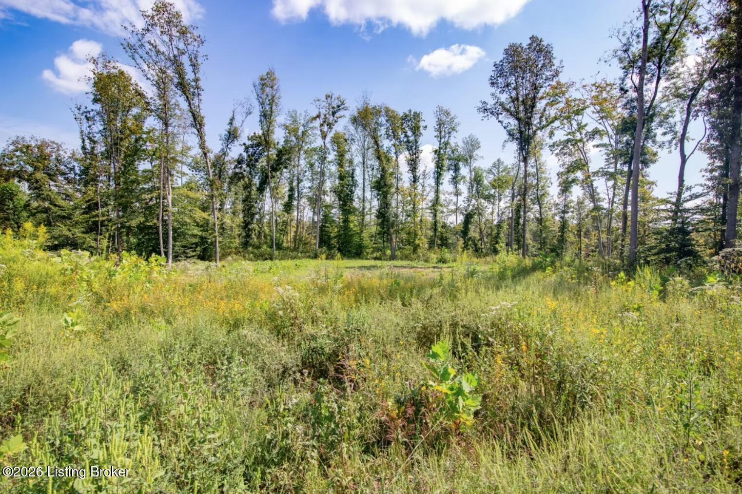 0 Scott-marcum Rd Property Photo 15